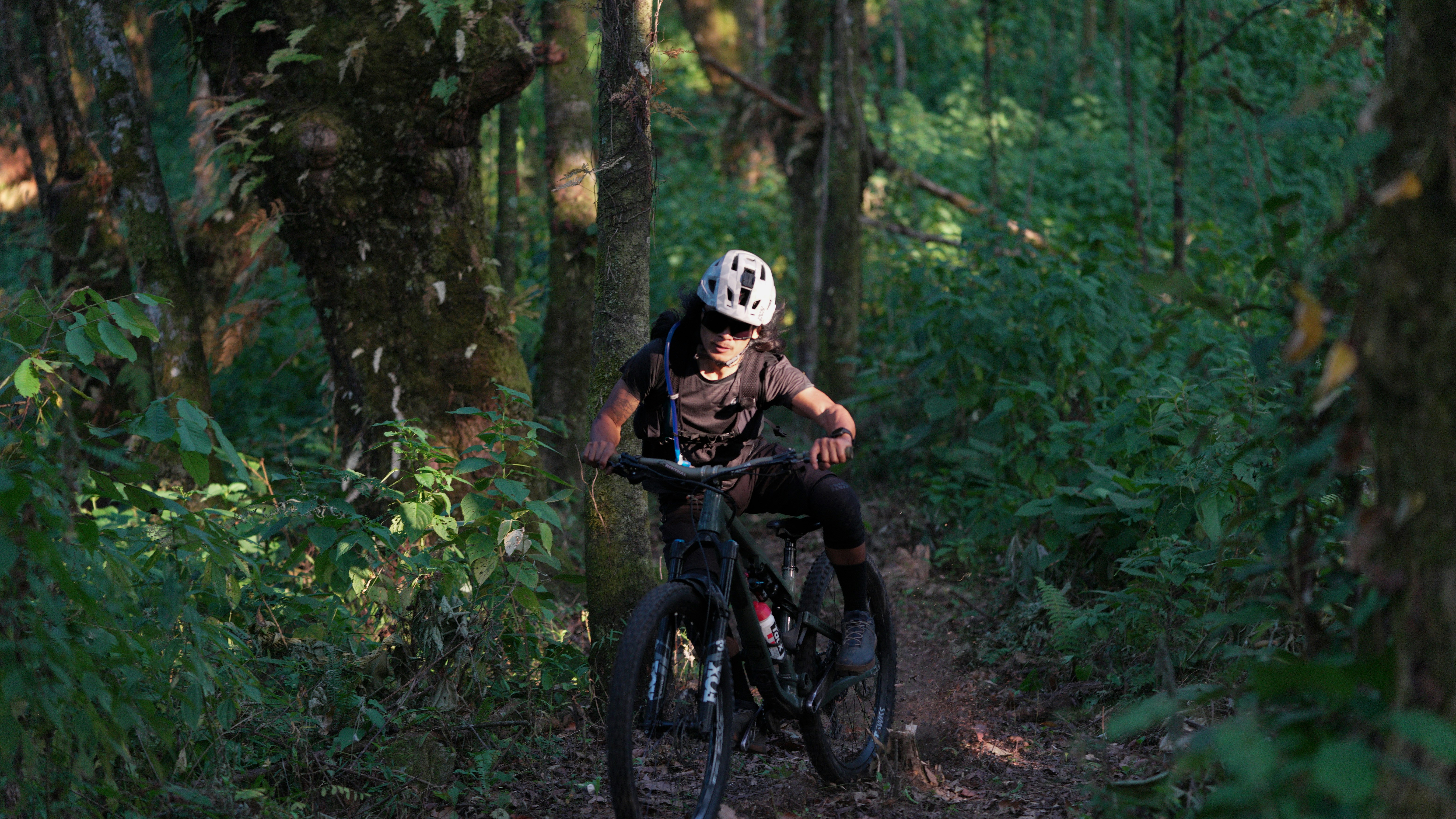 Mountain biker riding through a lush green forest.