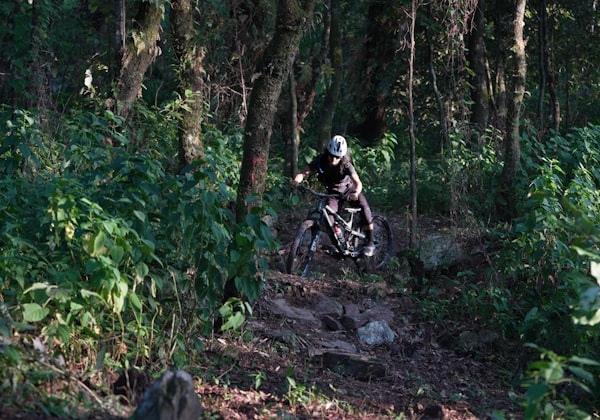 Cross-country mountain biking on Rosa Gulch trail through aspen meadow