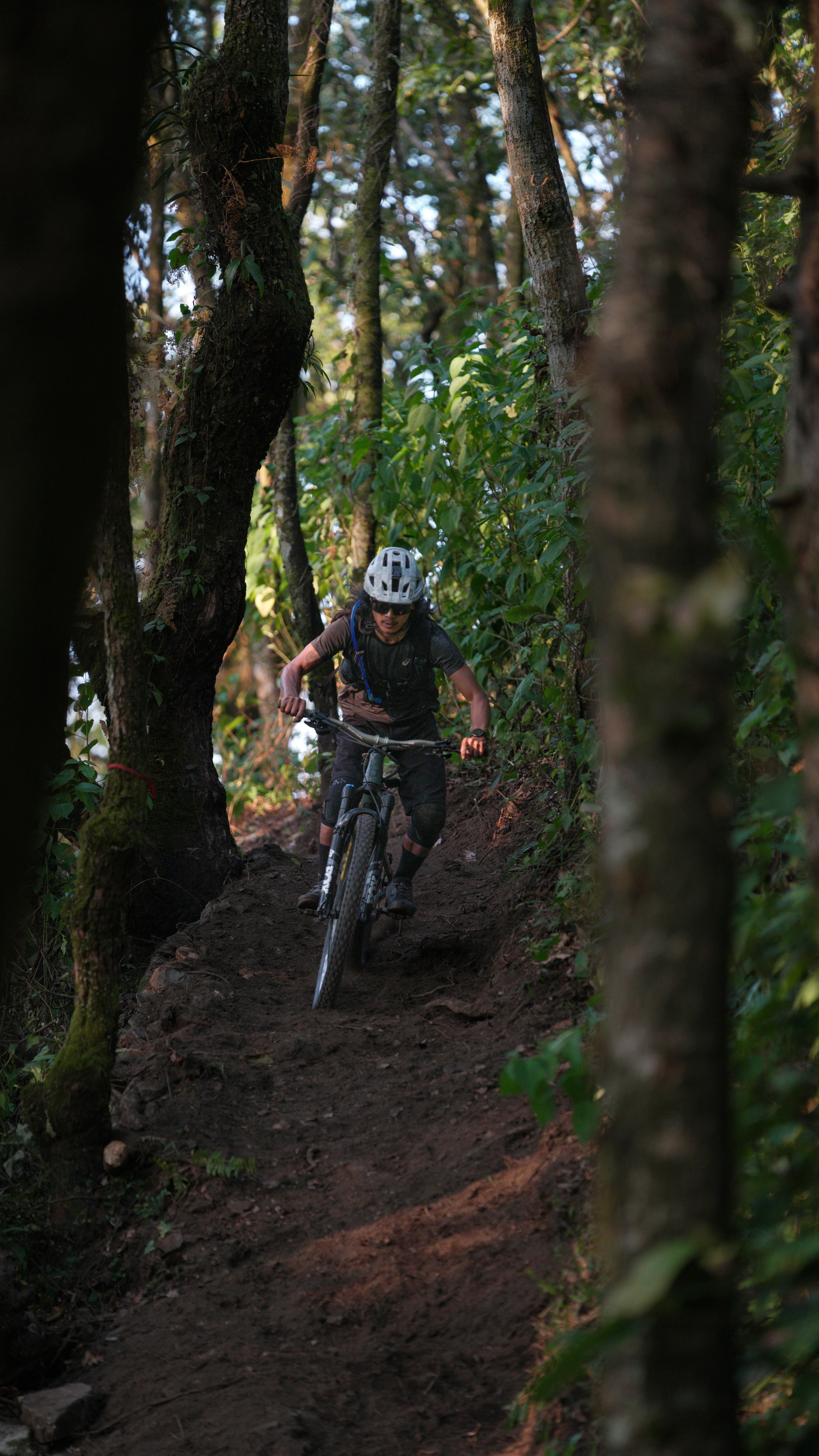 Photo by sunilcsharma