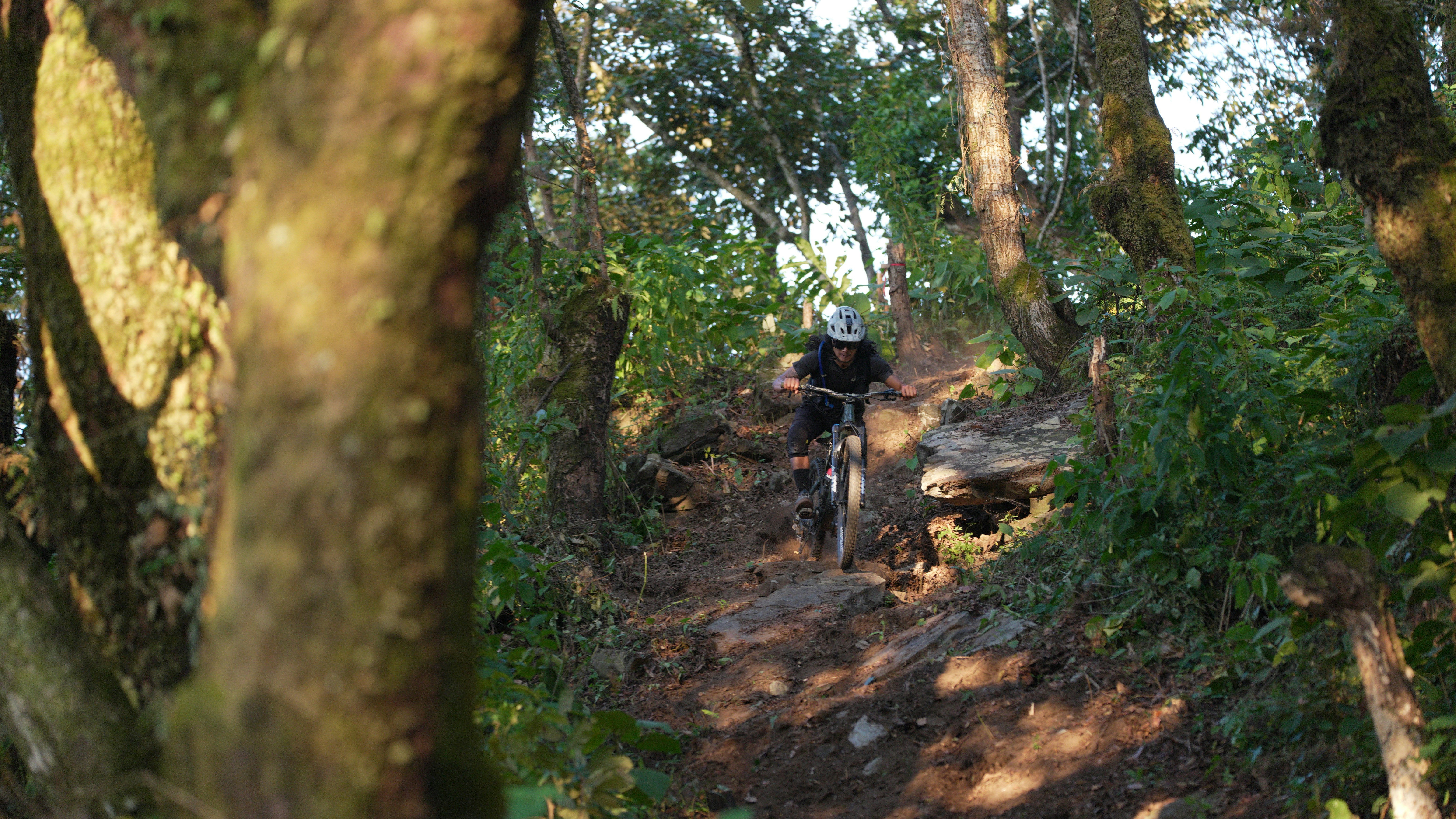 Person riding a mountain bike downhill through trees.