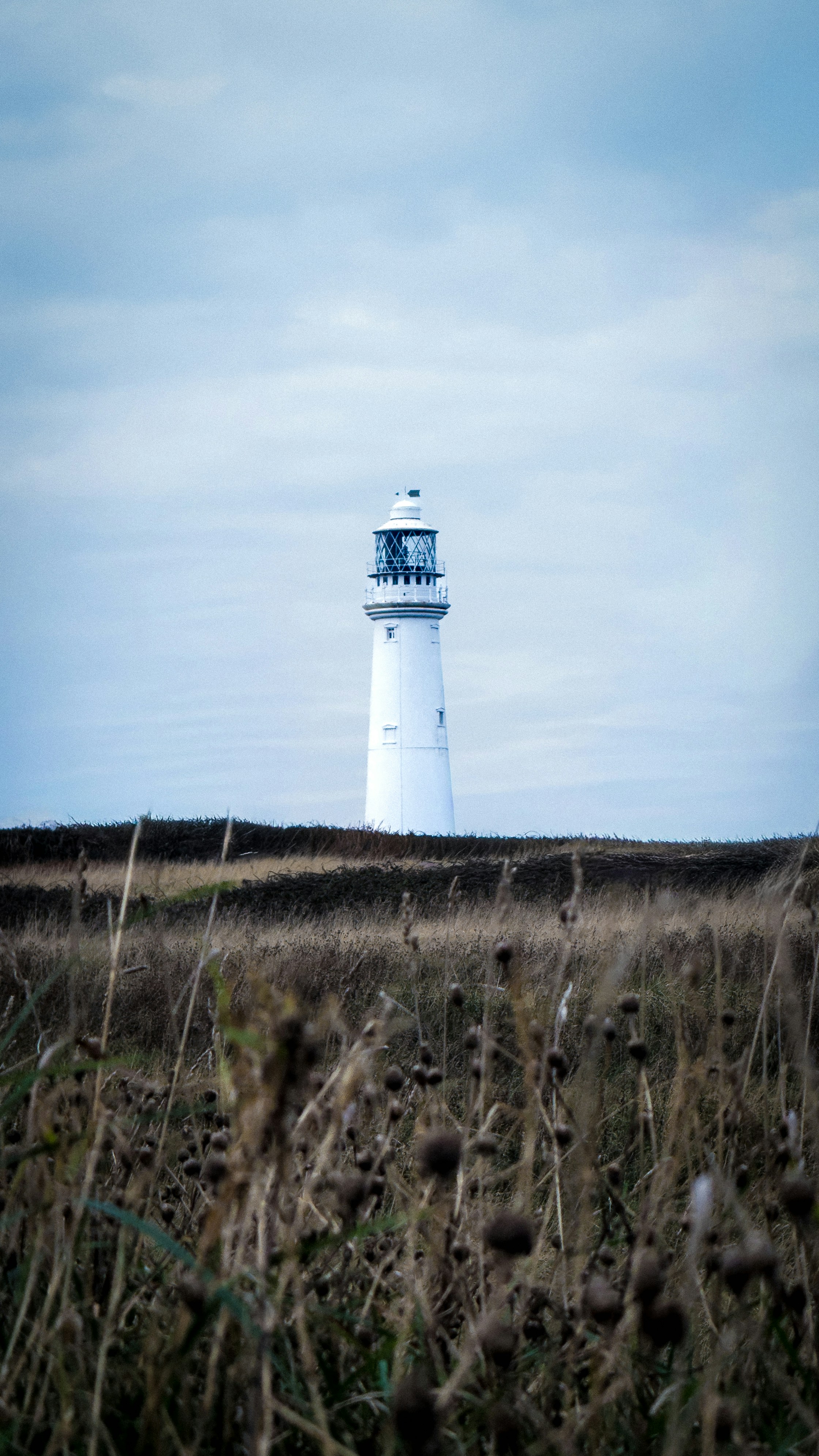 Photo by humansmadethis