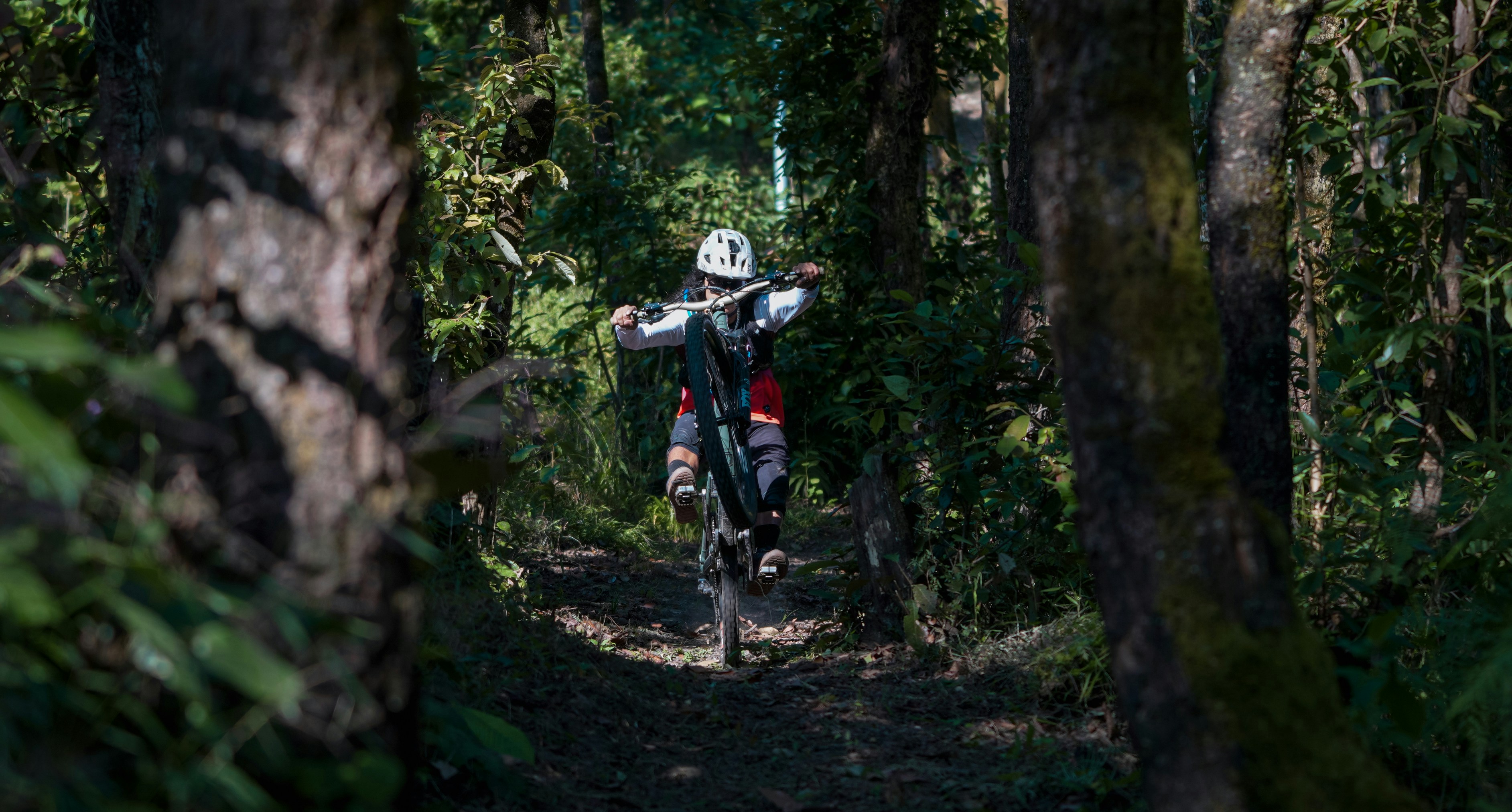 Photo by sunilcsharma