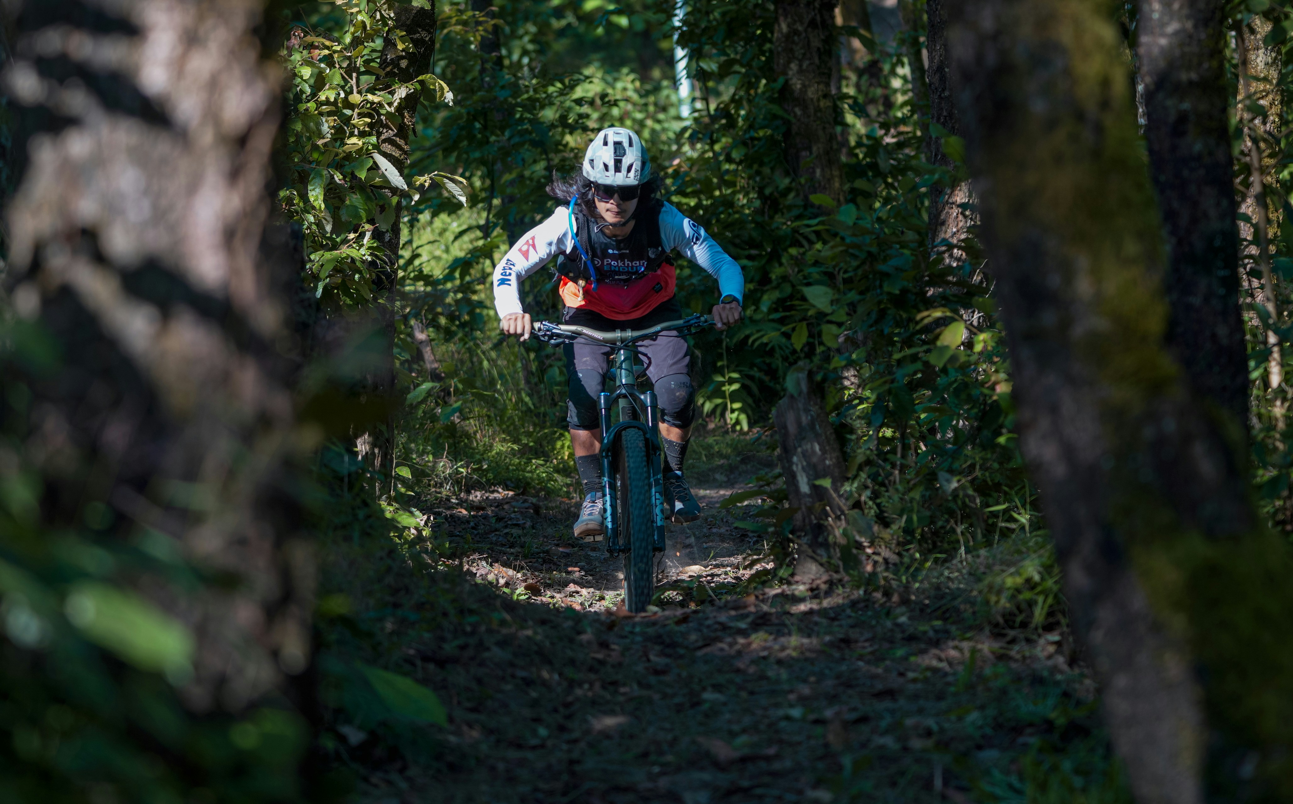 Mountain biker riding on a forest trail.