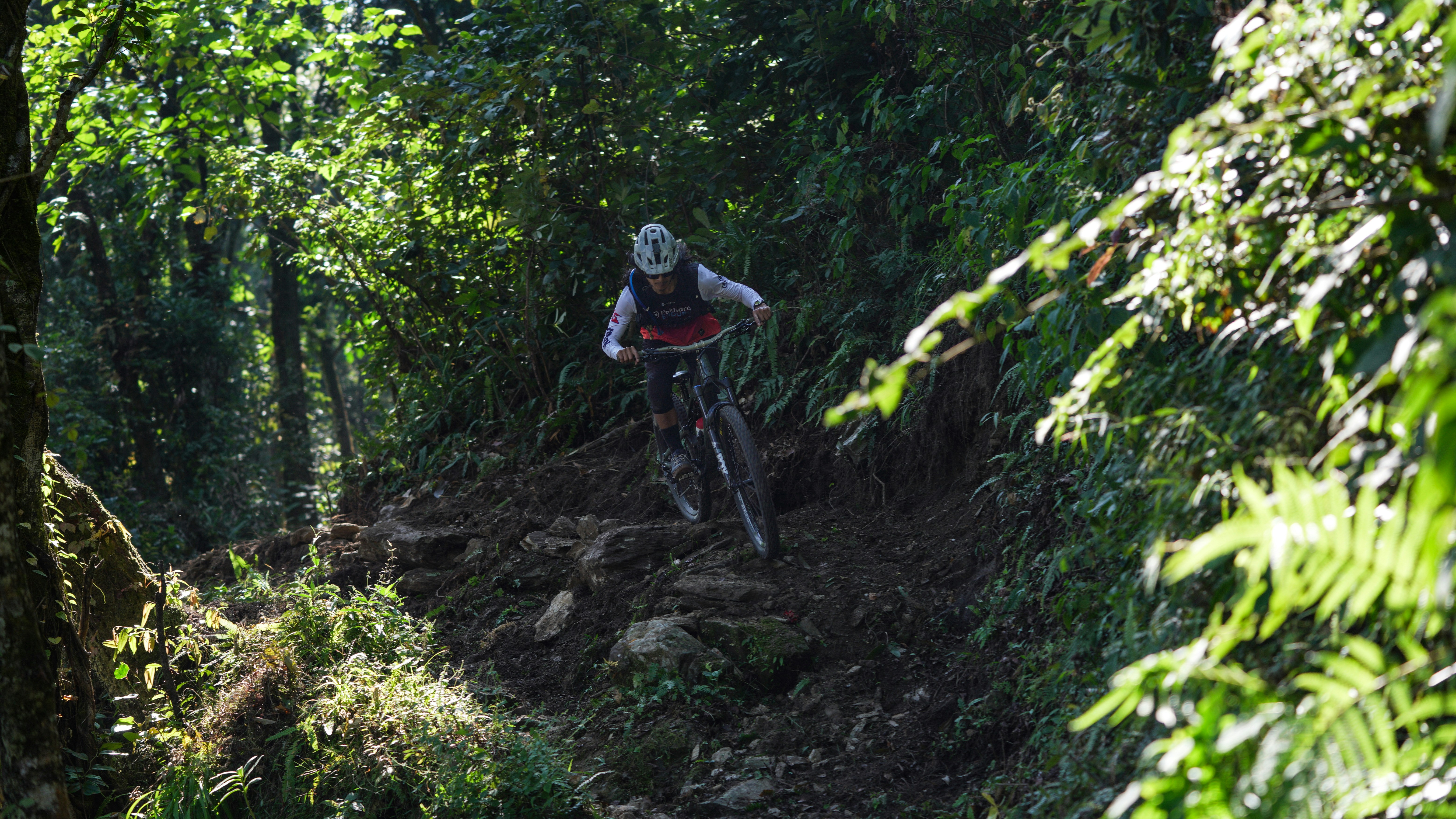 Mountain biker descends a steep, rocky trail.