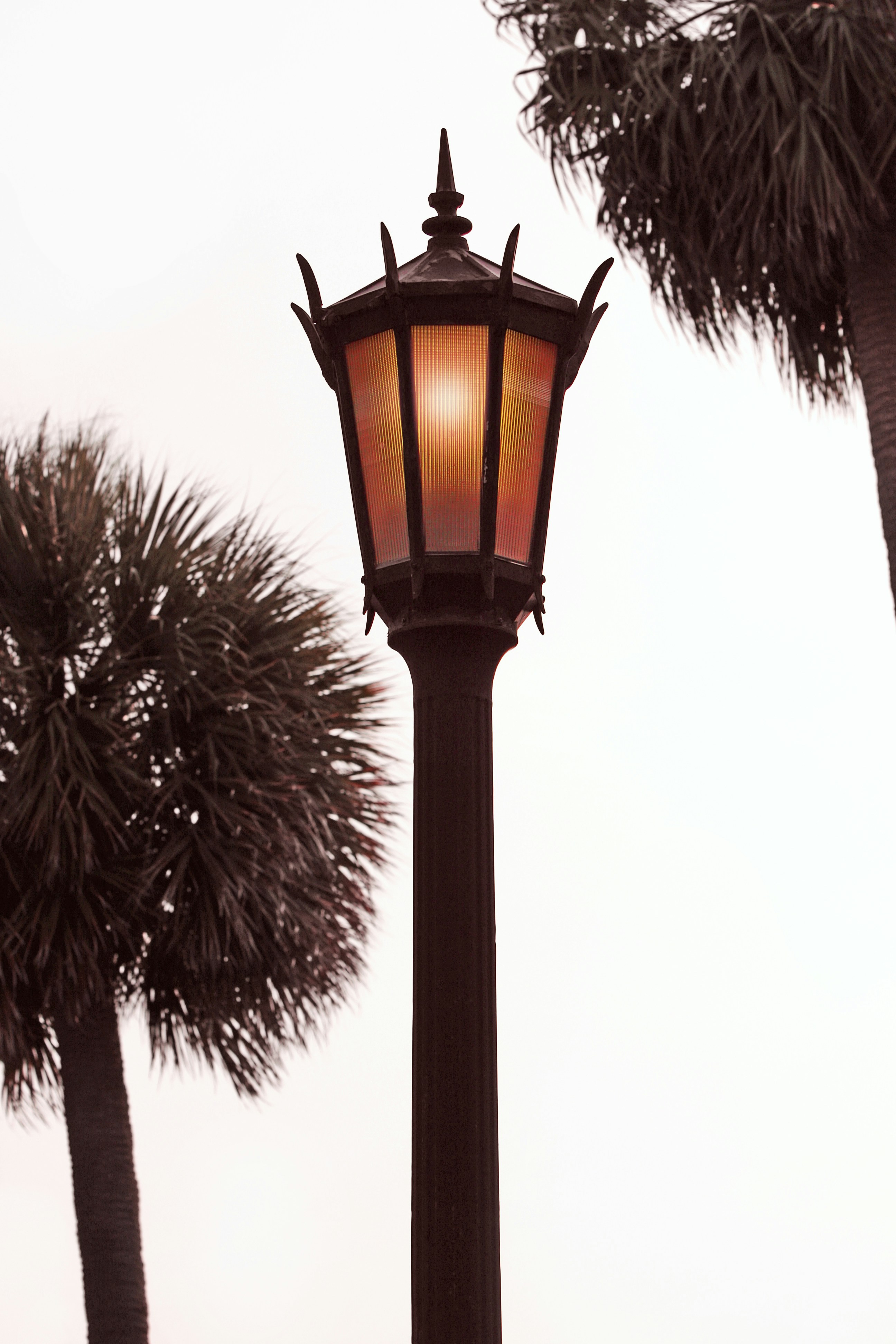 coastal wallpaper lamp, wallpaper, Coastal Floor Lamps: Brighten Your Entryway 2