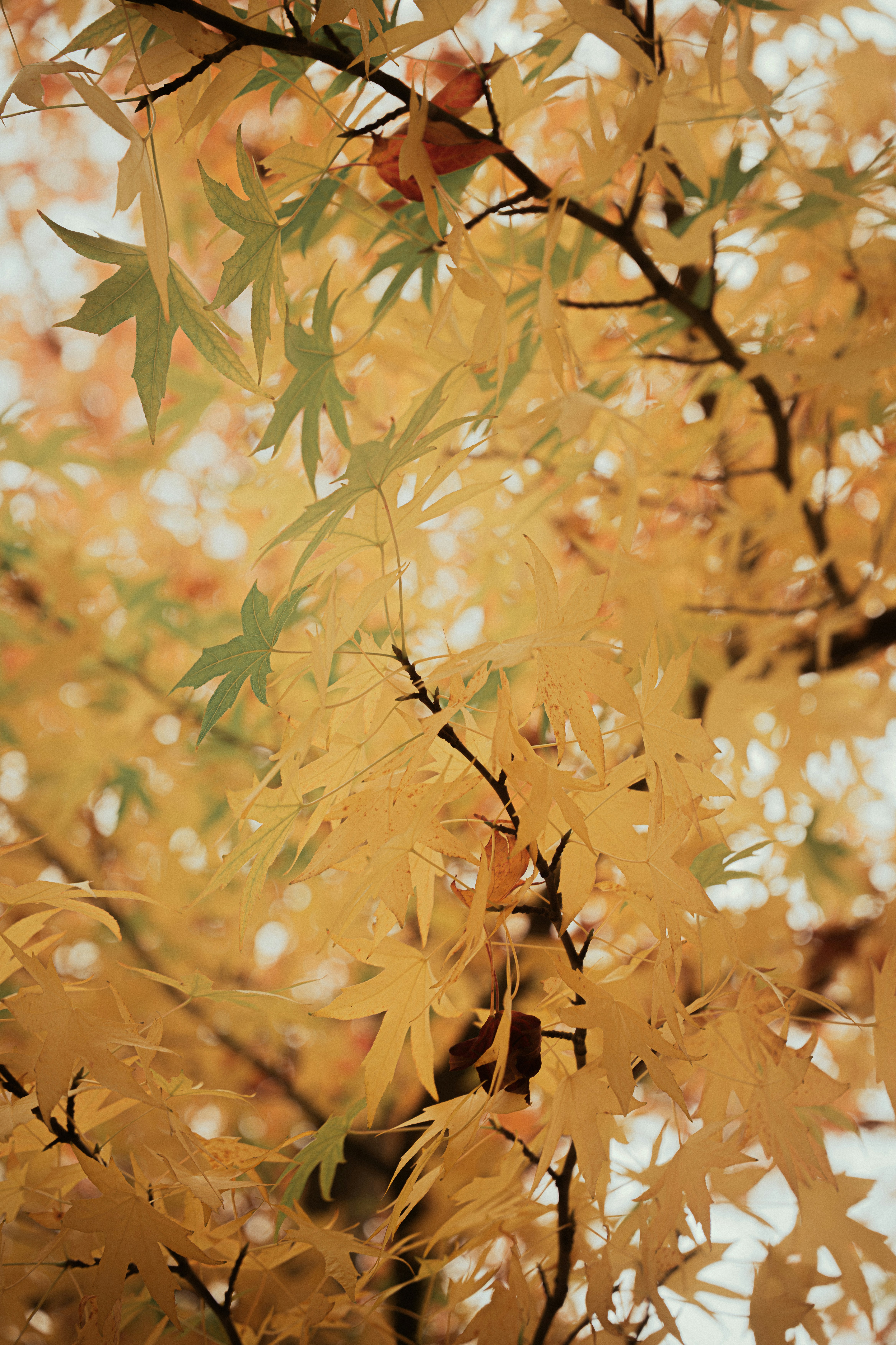 Photo by alexisnthere_