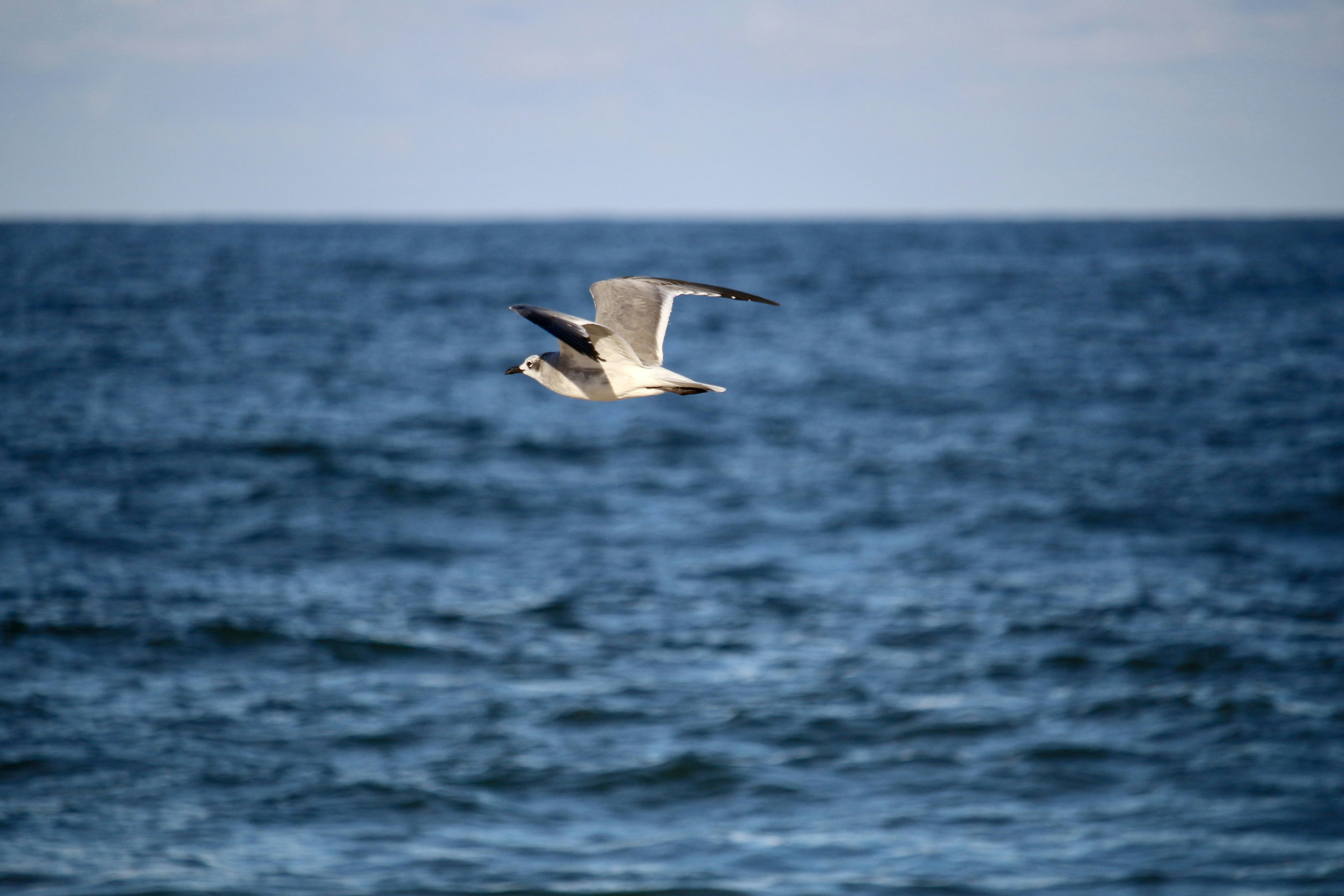 Photo by mgeyerphotography