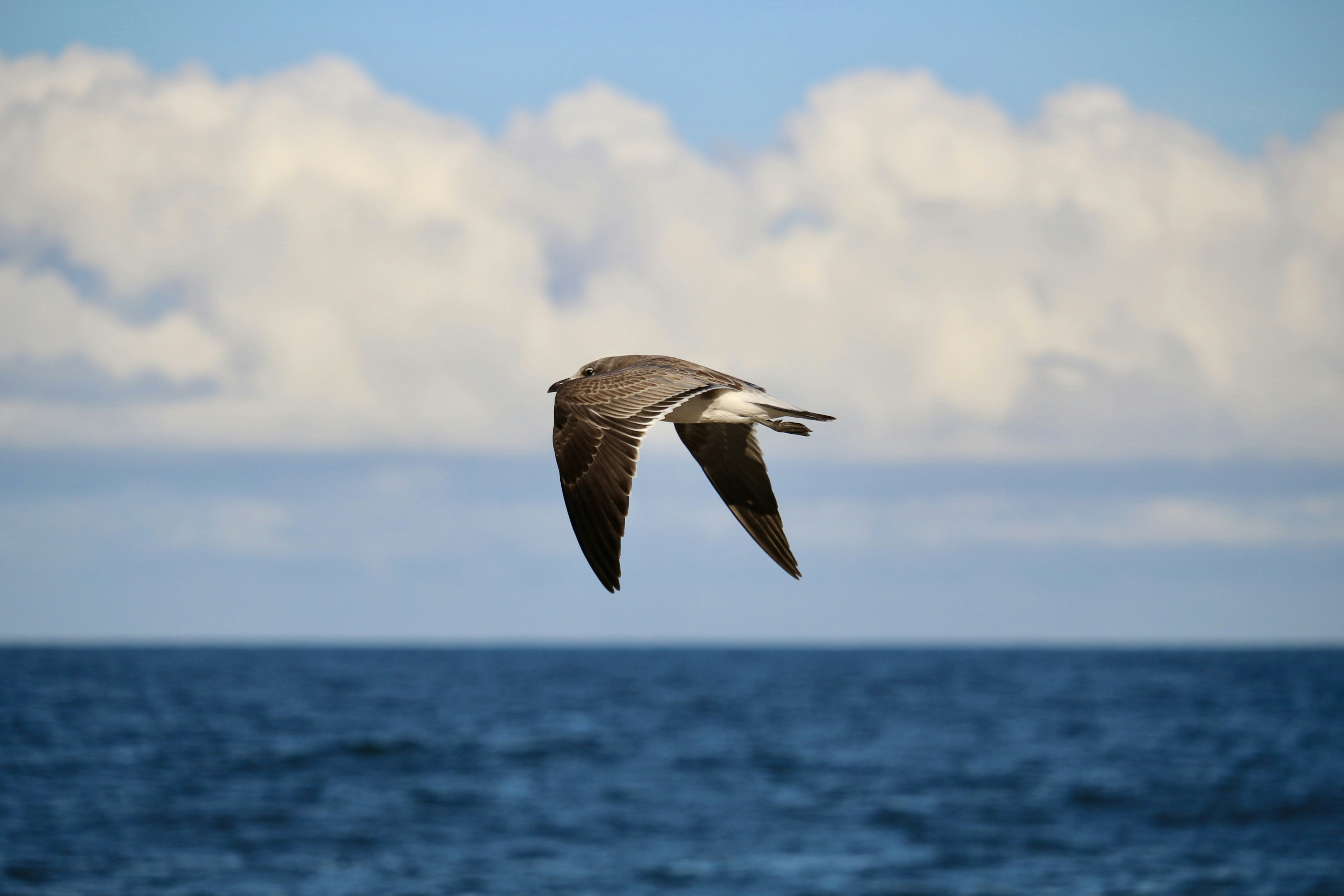 Photo by mgeyerphotography