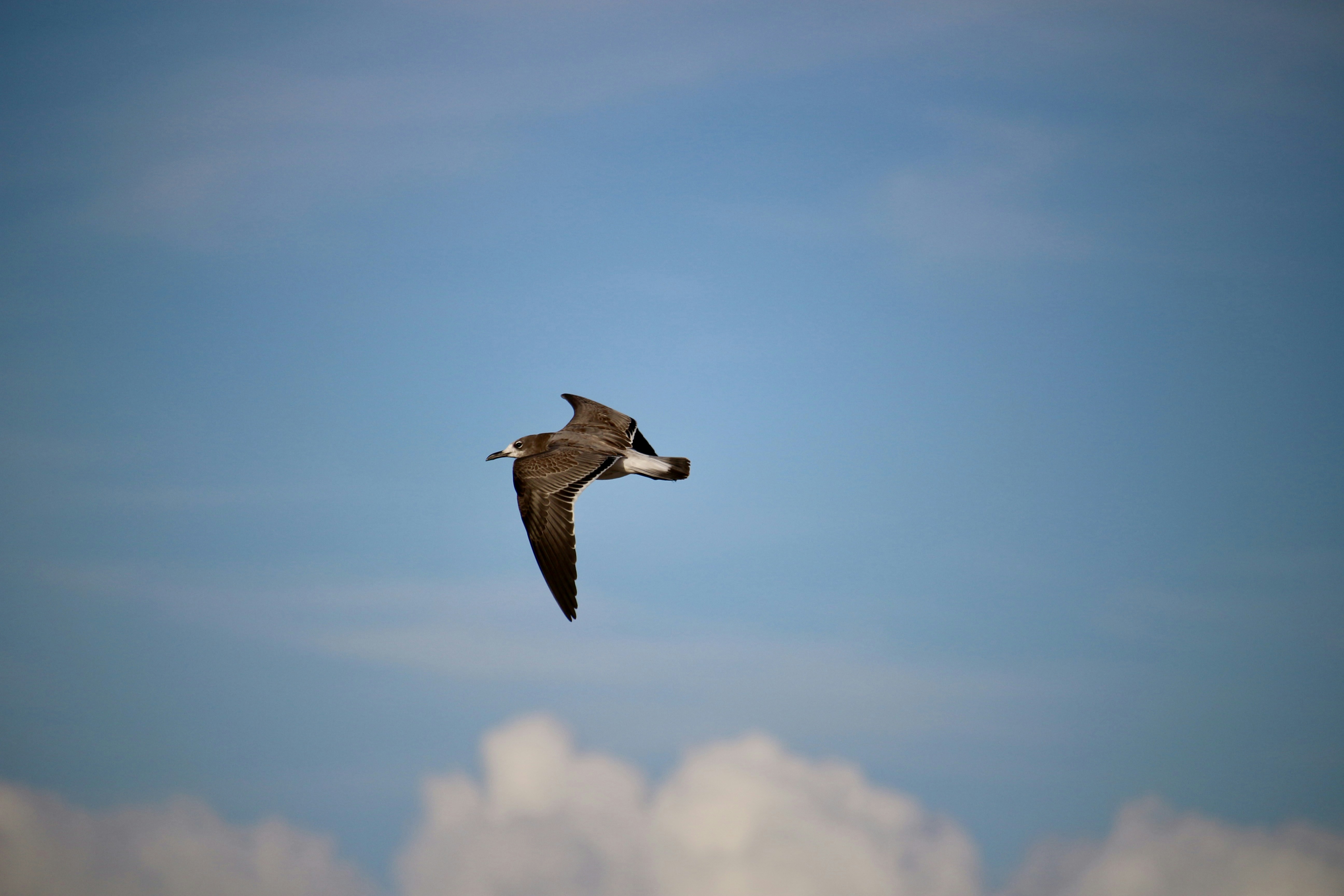 Photo by mgeyerphotography