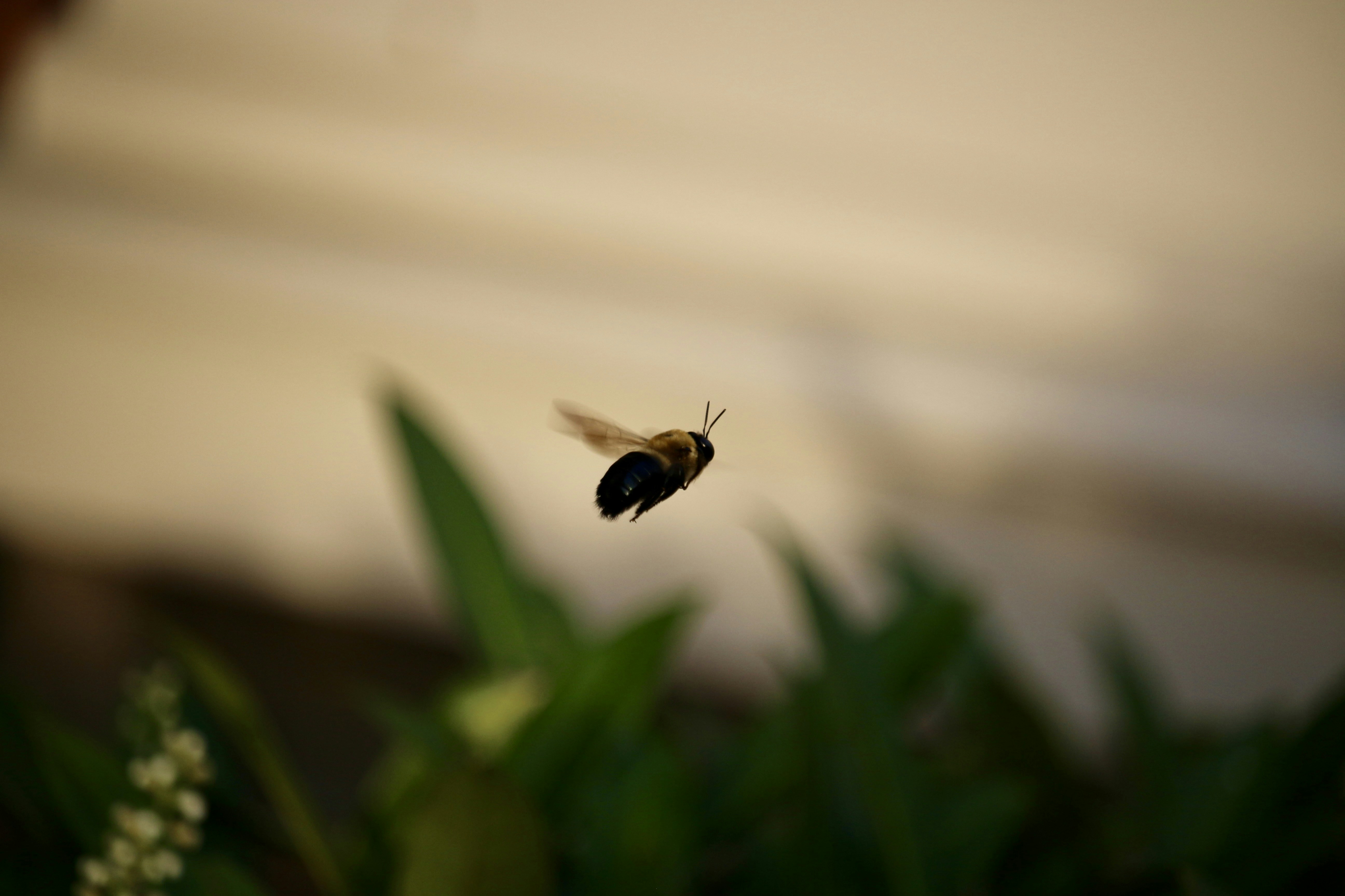 Photo by mgeyerphotography