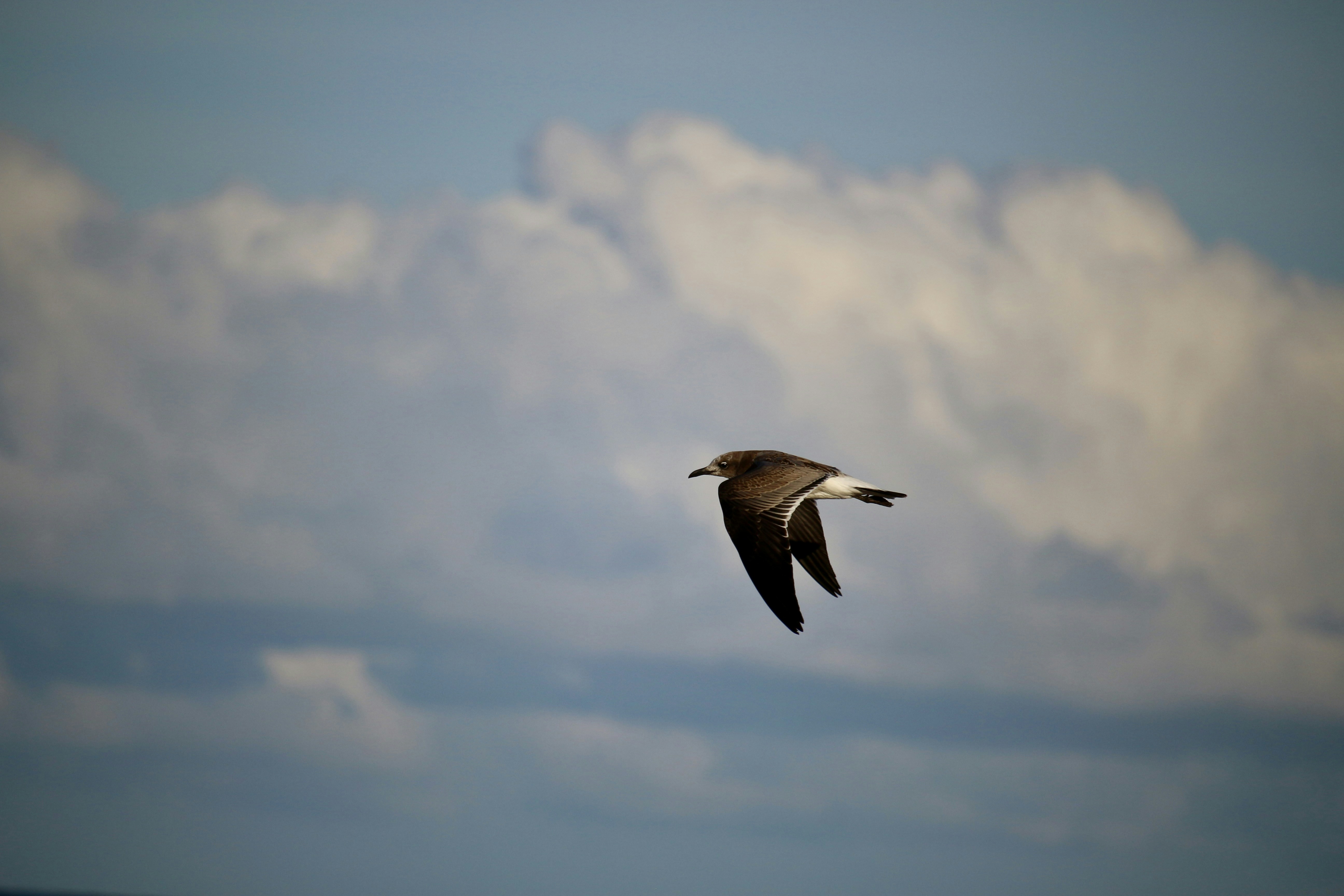 Photo by mgeyerphotography