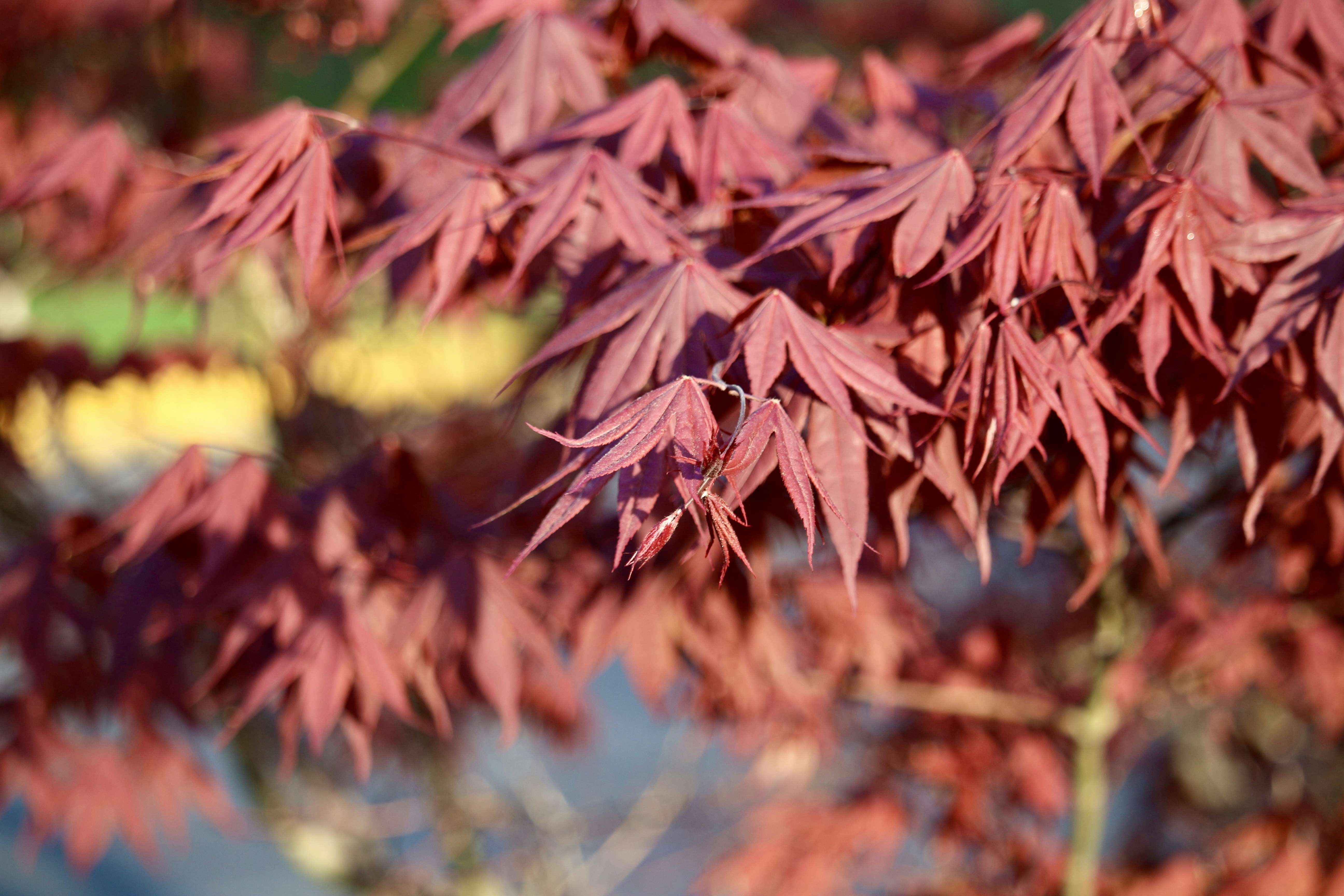 Photo by mgeyerphotography