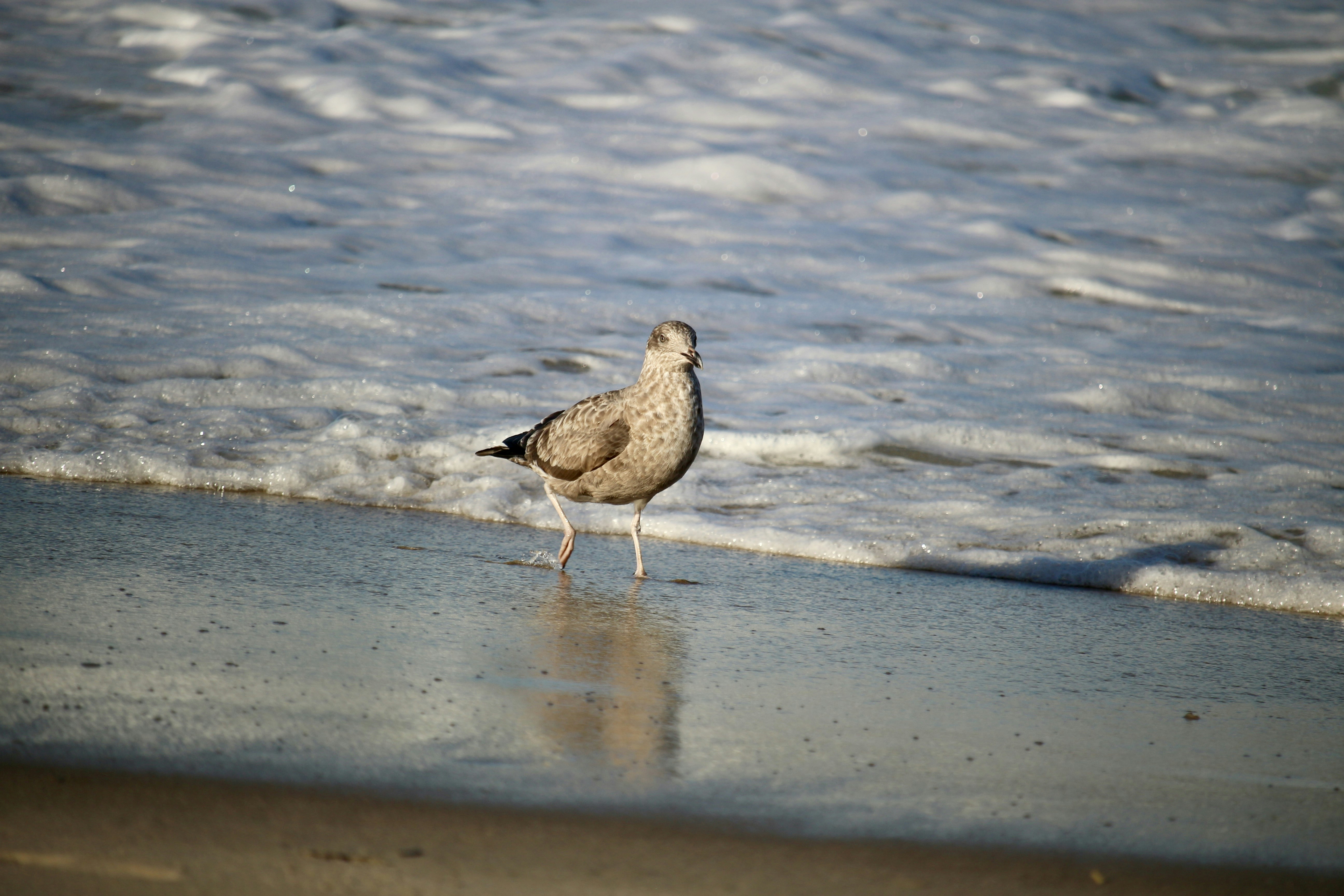 Photo by mgeyerphotography