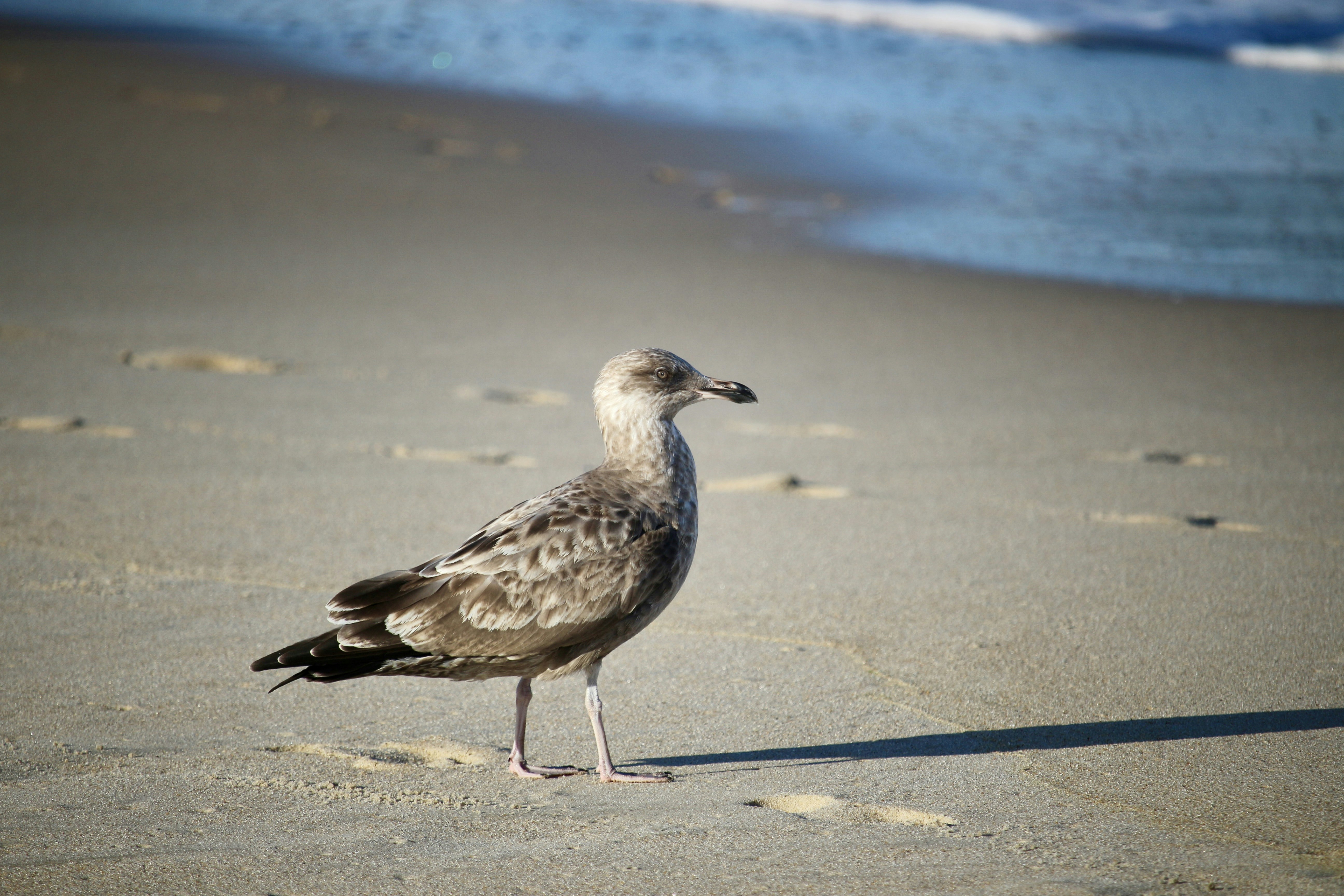 Photo by mgeyerphotography