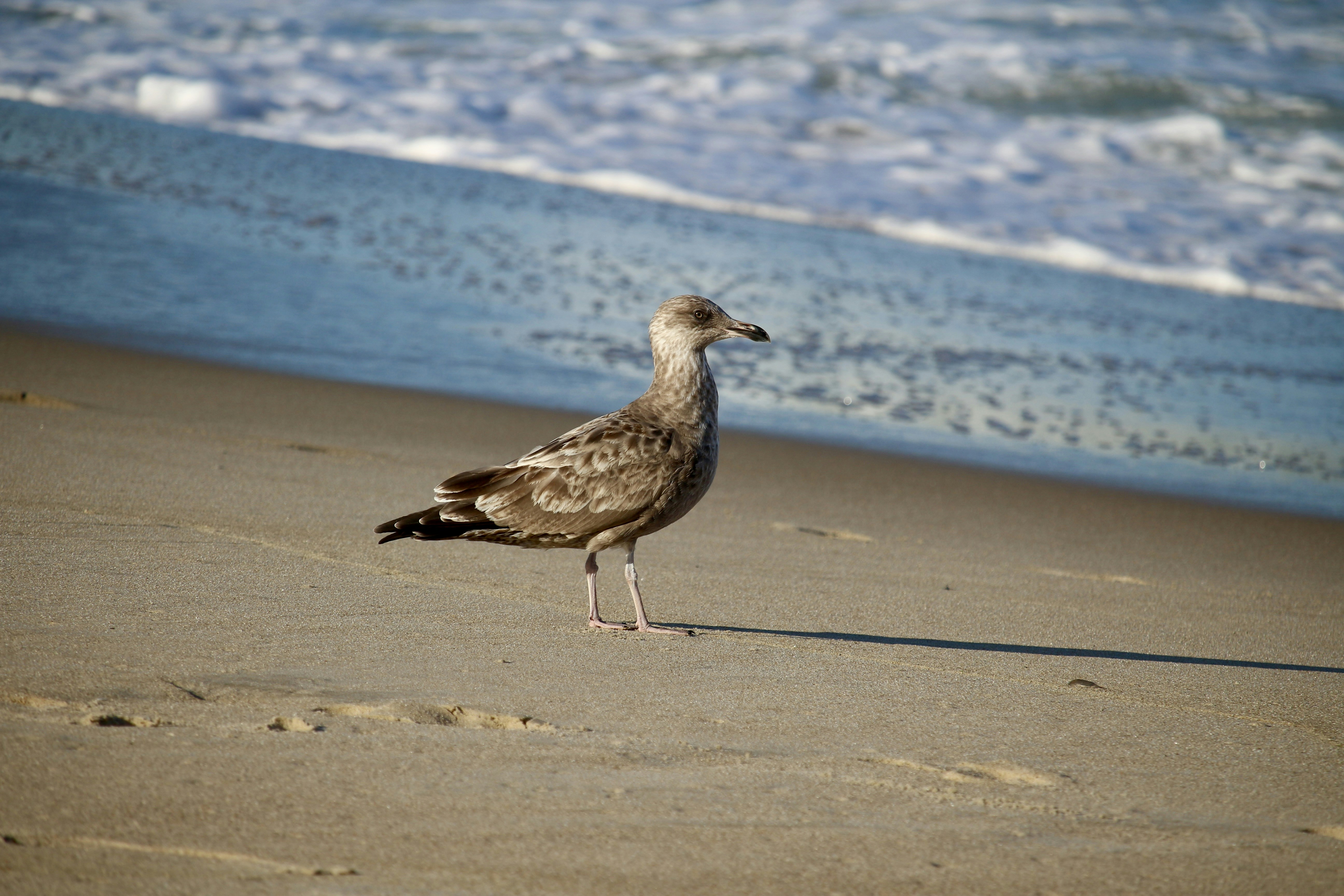 Photo by mgeyerphotography