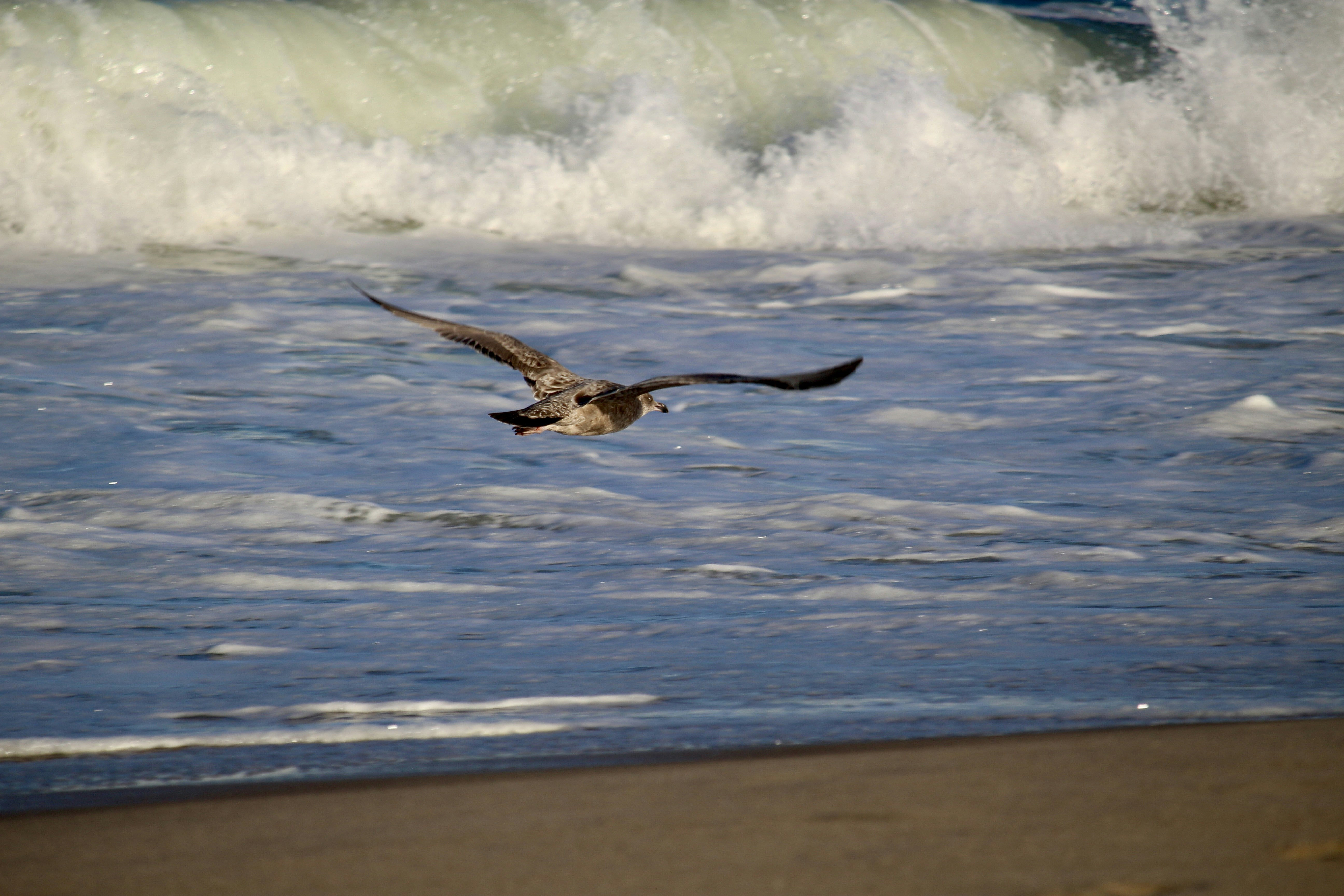 Photo by mgeyerphotography