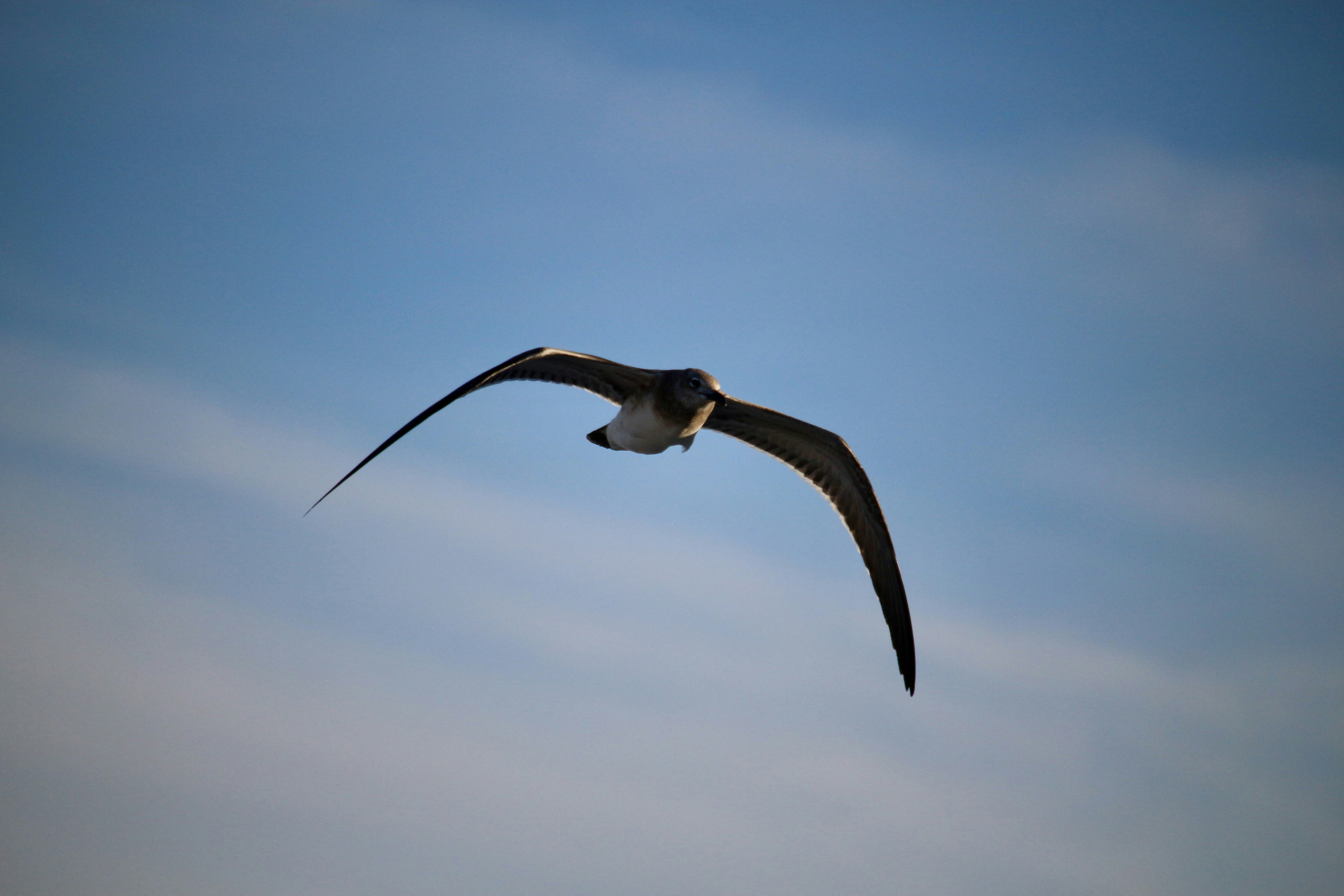 Photo by mgeyerphotography