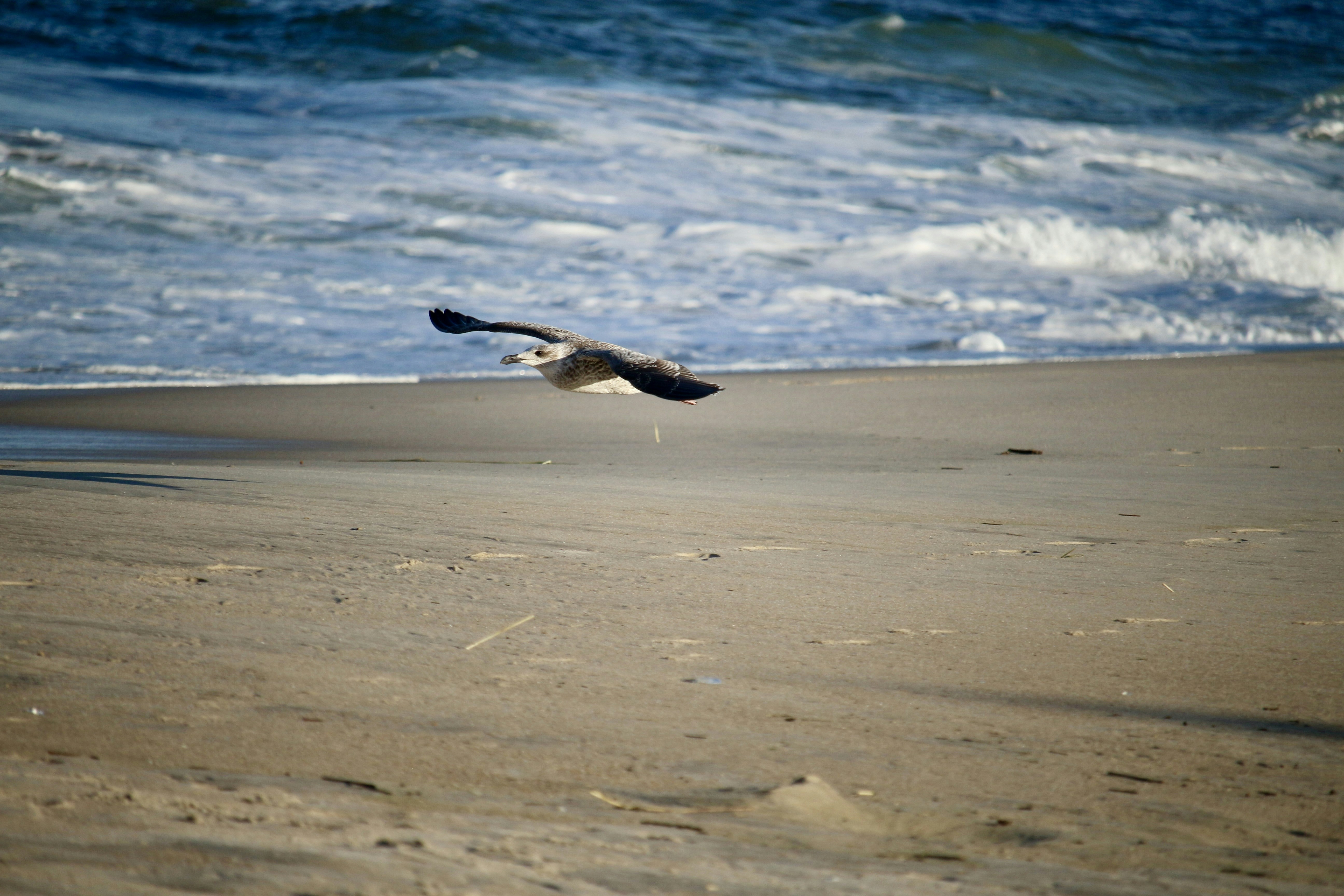 Photo by mgeyerphotography