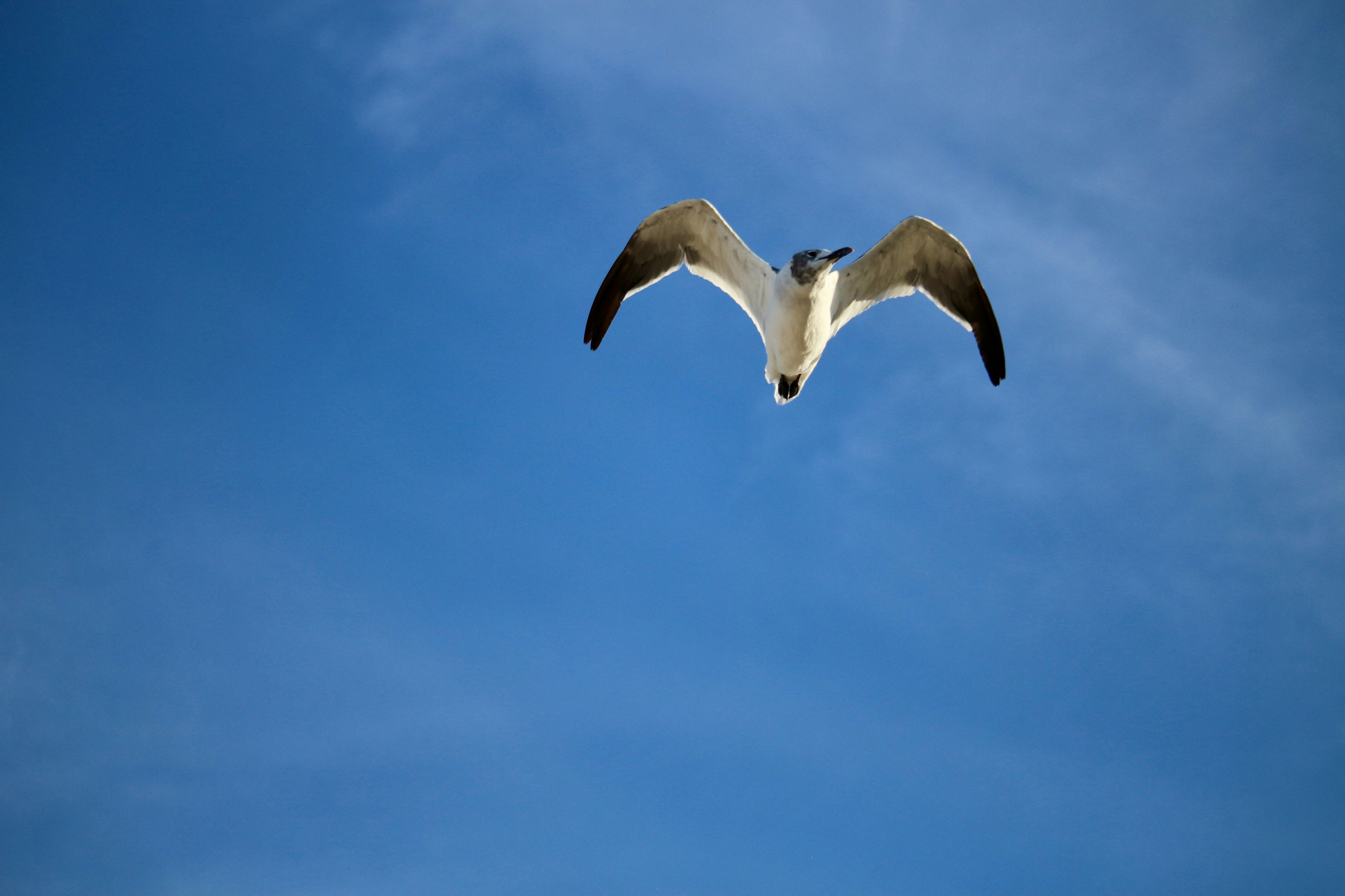 Photo by mgeyerphotography