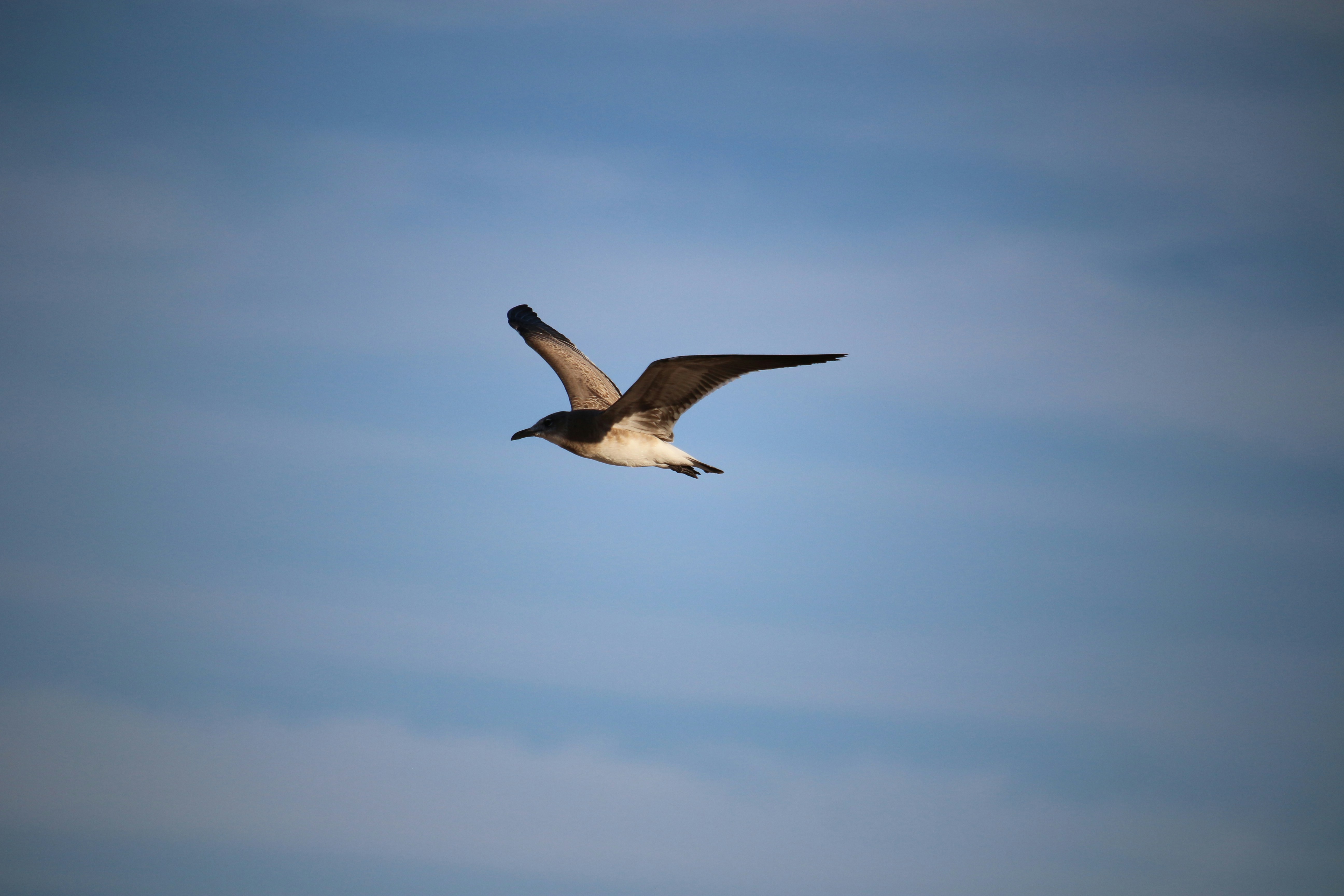 Photo by mgeyerphotography