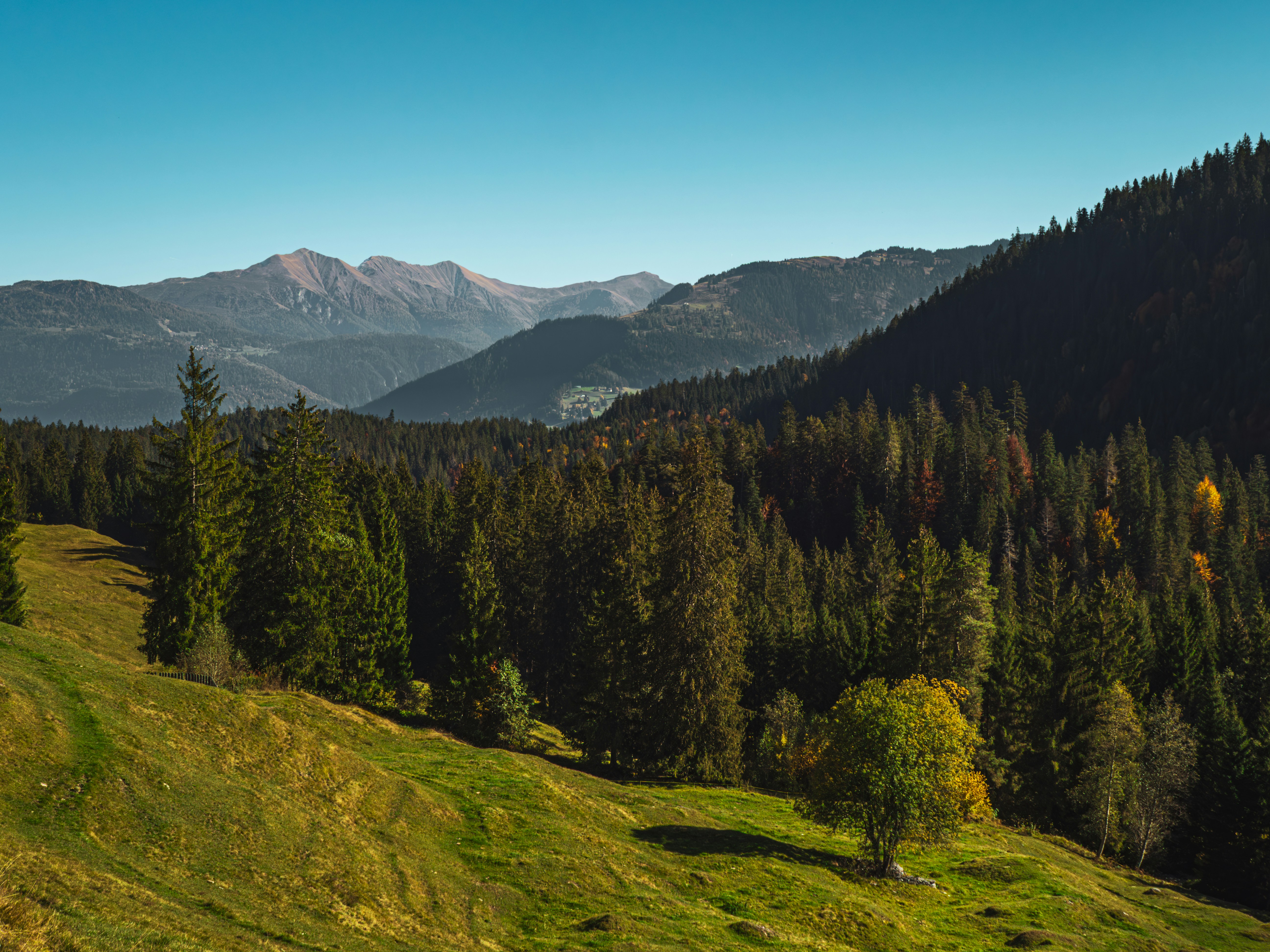 Photo by poli_graphy