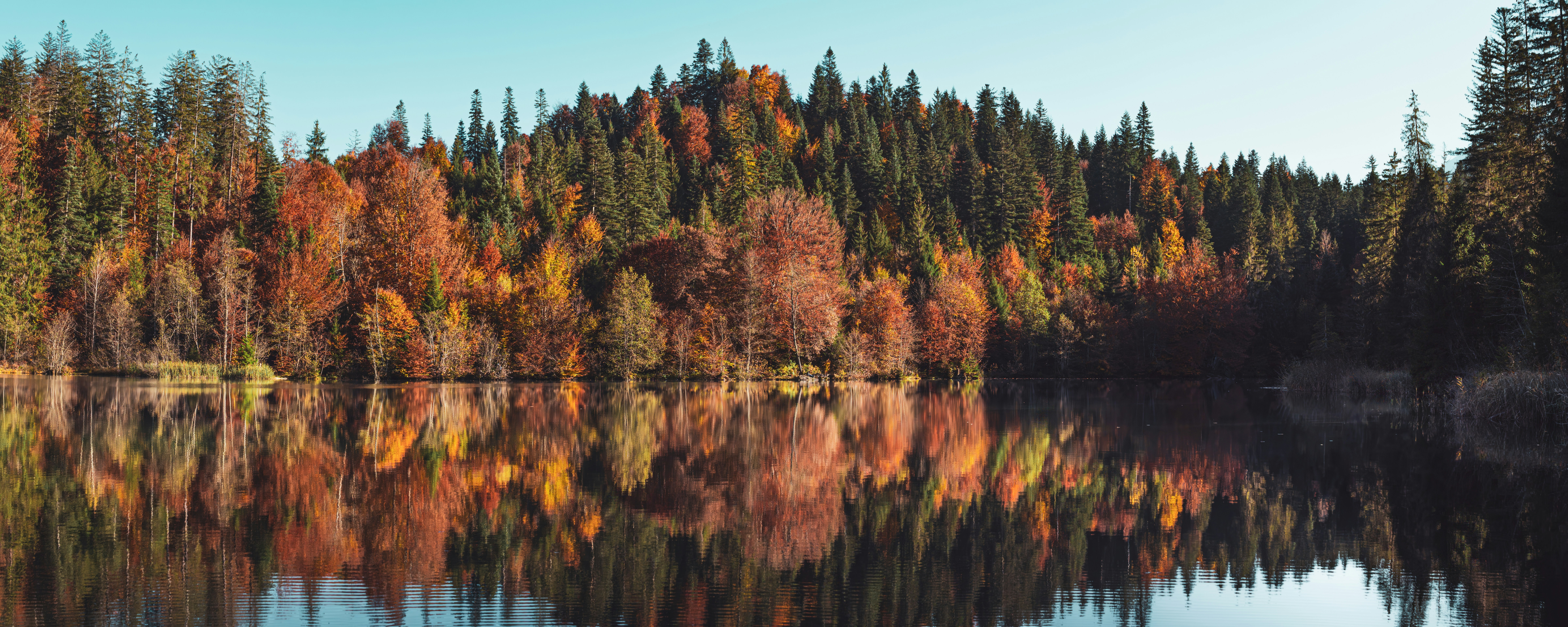 Photo by poli_graphy