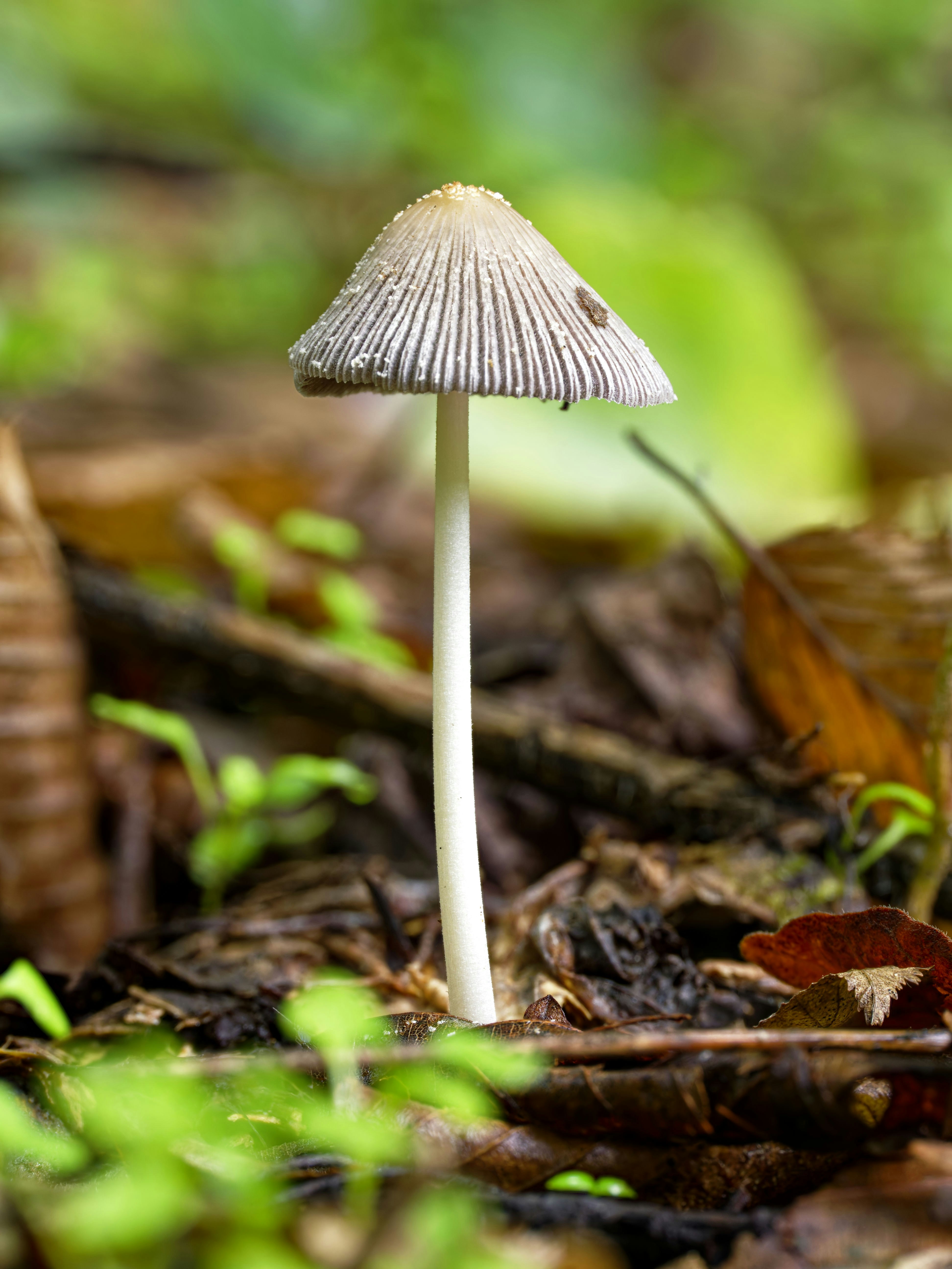 Photo by illes_cristi