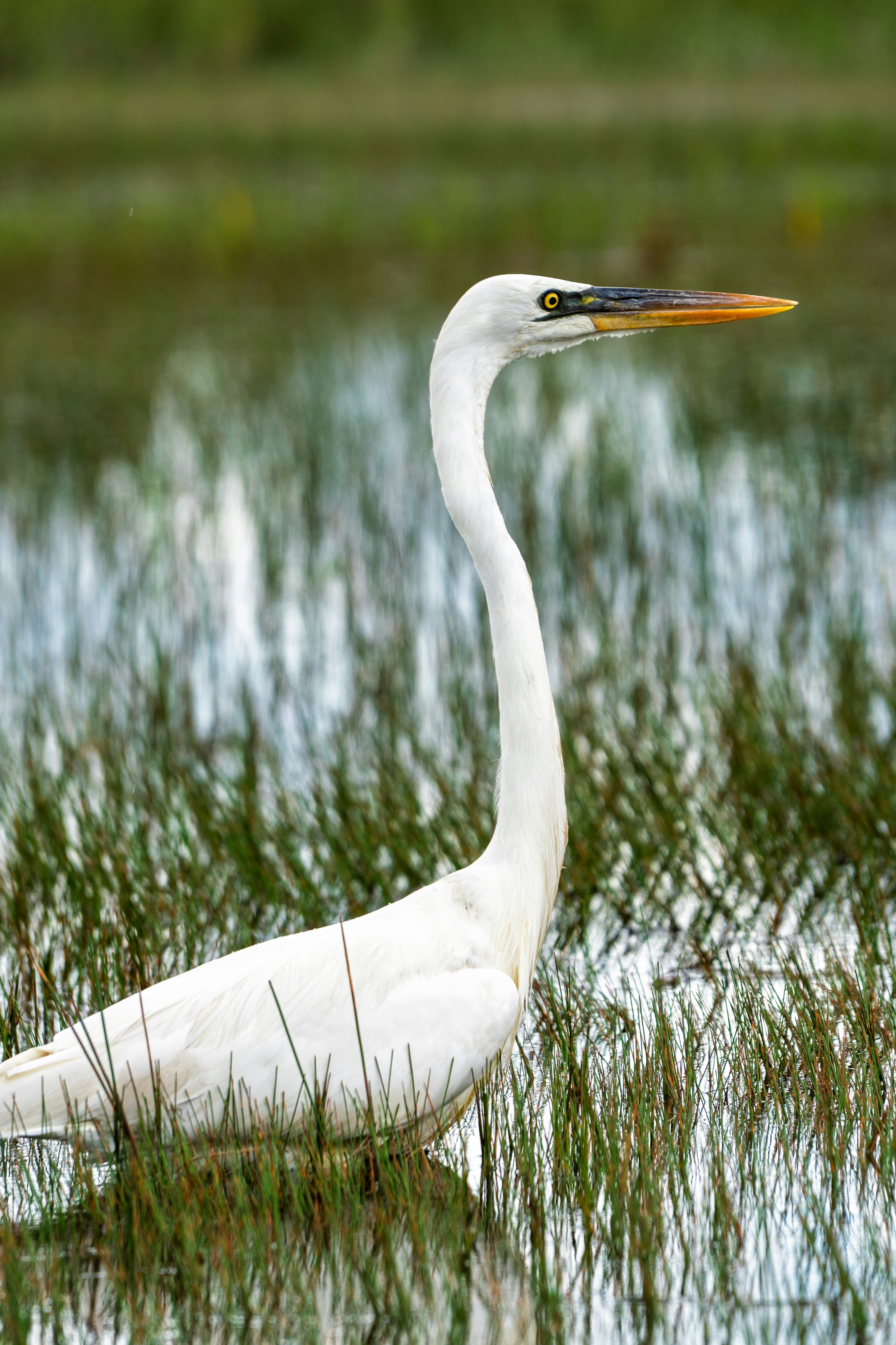 Photo by therandyeffect