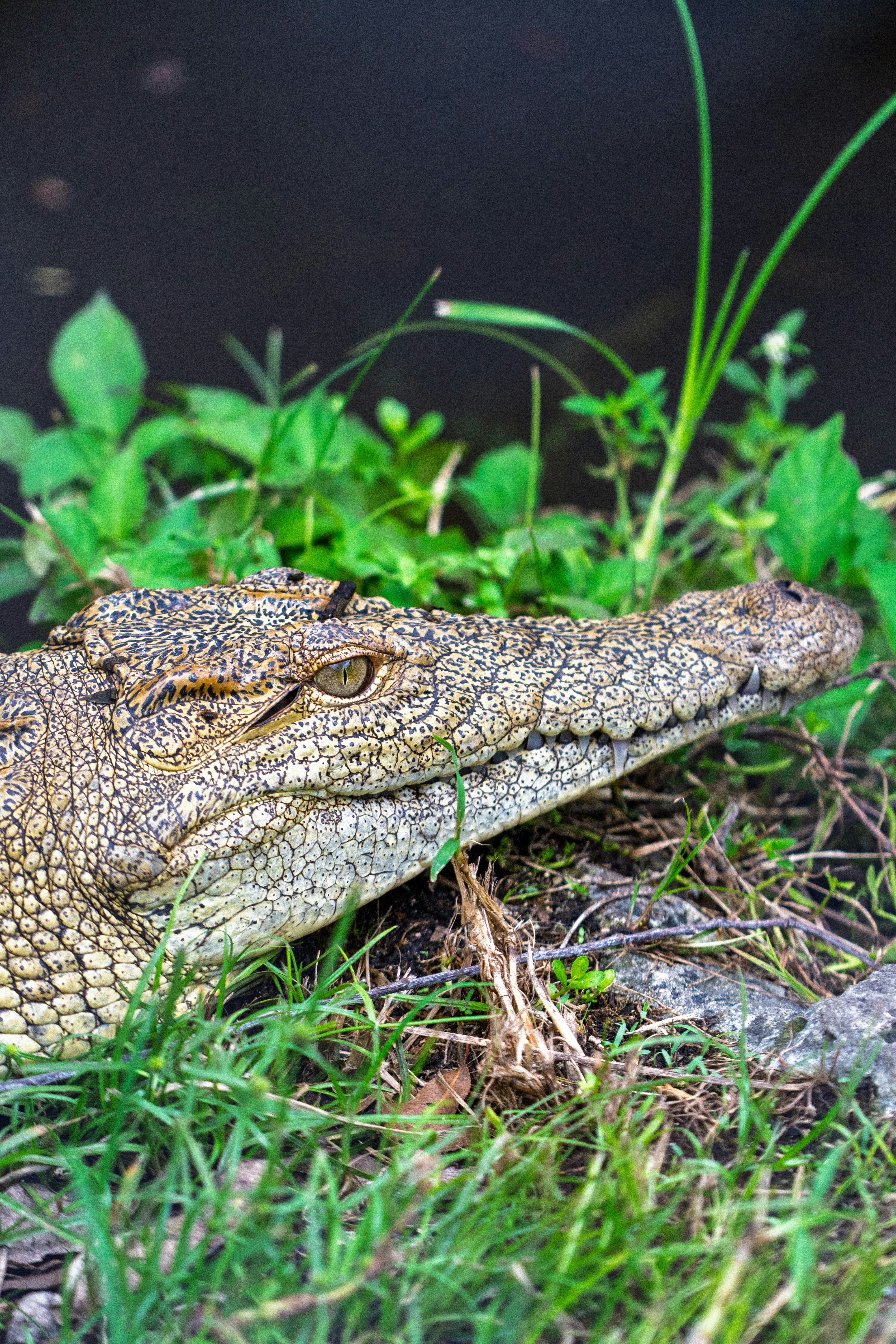 Photo by therandyeffect