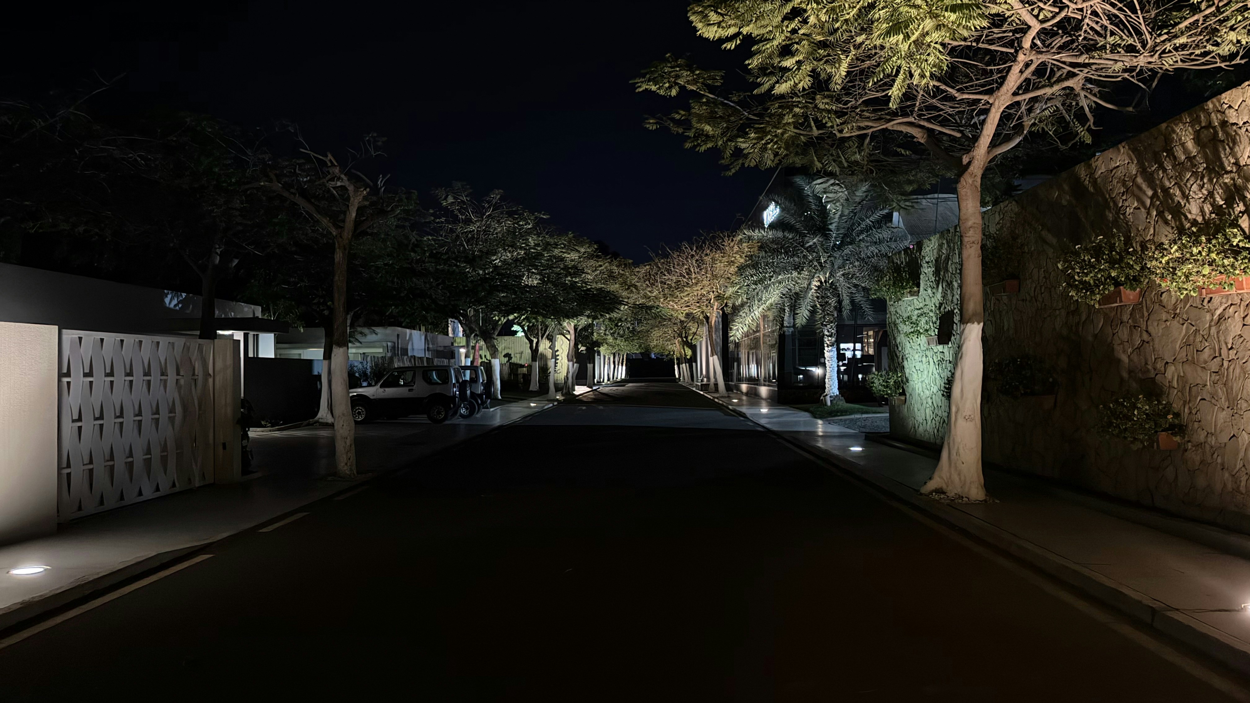 A tree-lined street illuminated at night