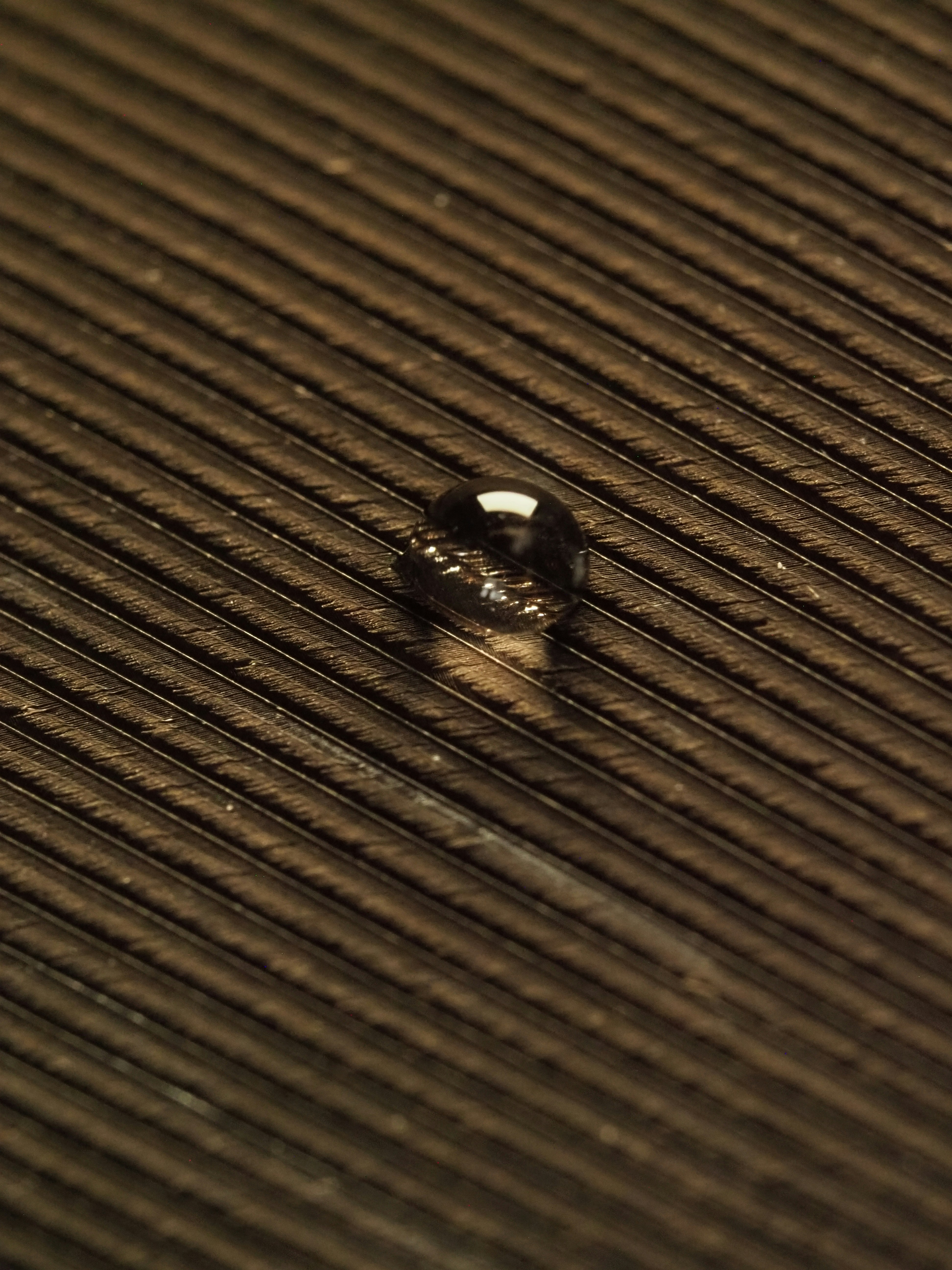 Una singola goccia d'acqua su una piuma scura.