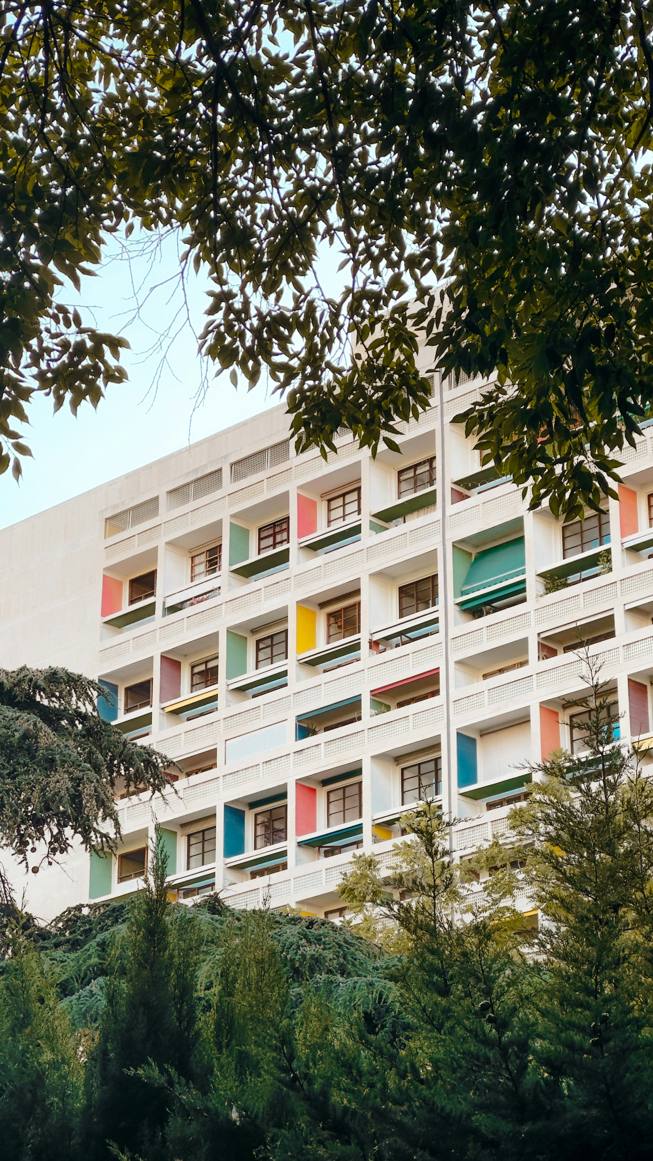 カラフルなバルコニーと木々のあるモダンな建物。