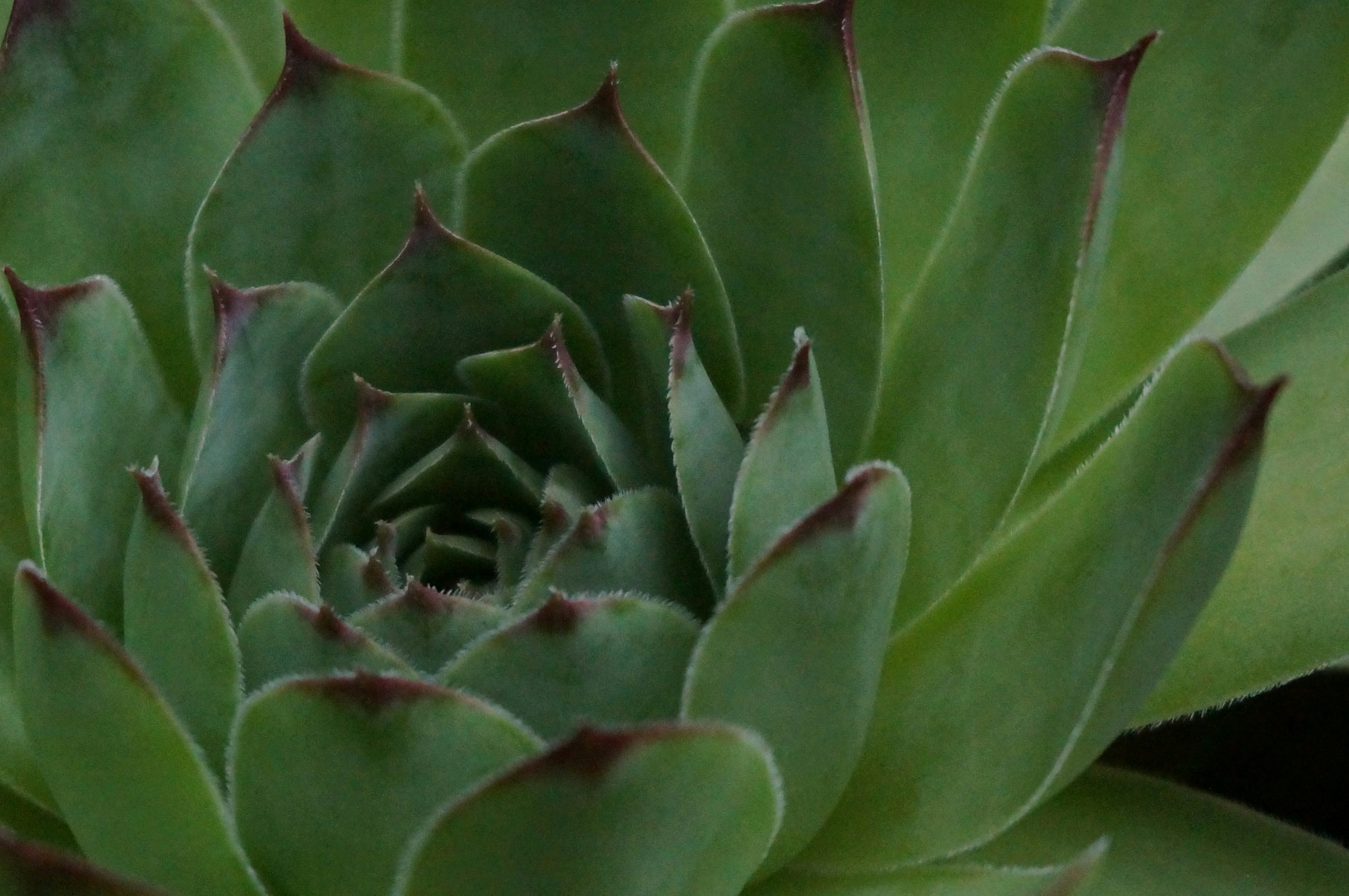 Photo by sugargirl333