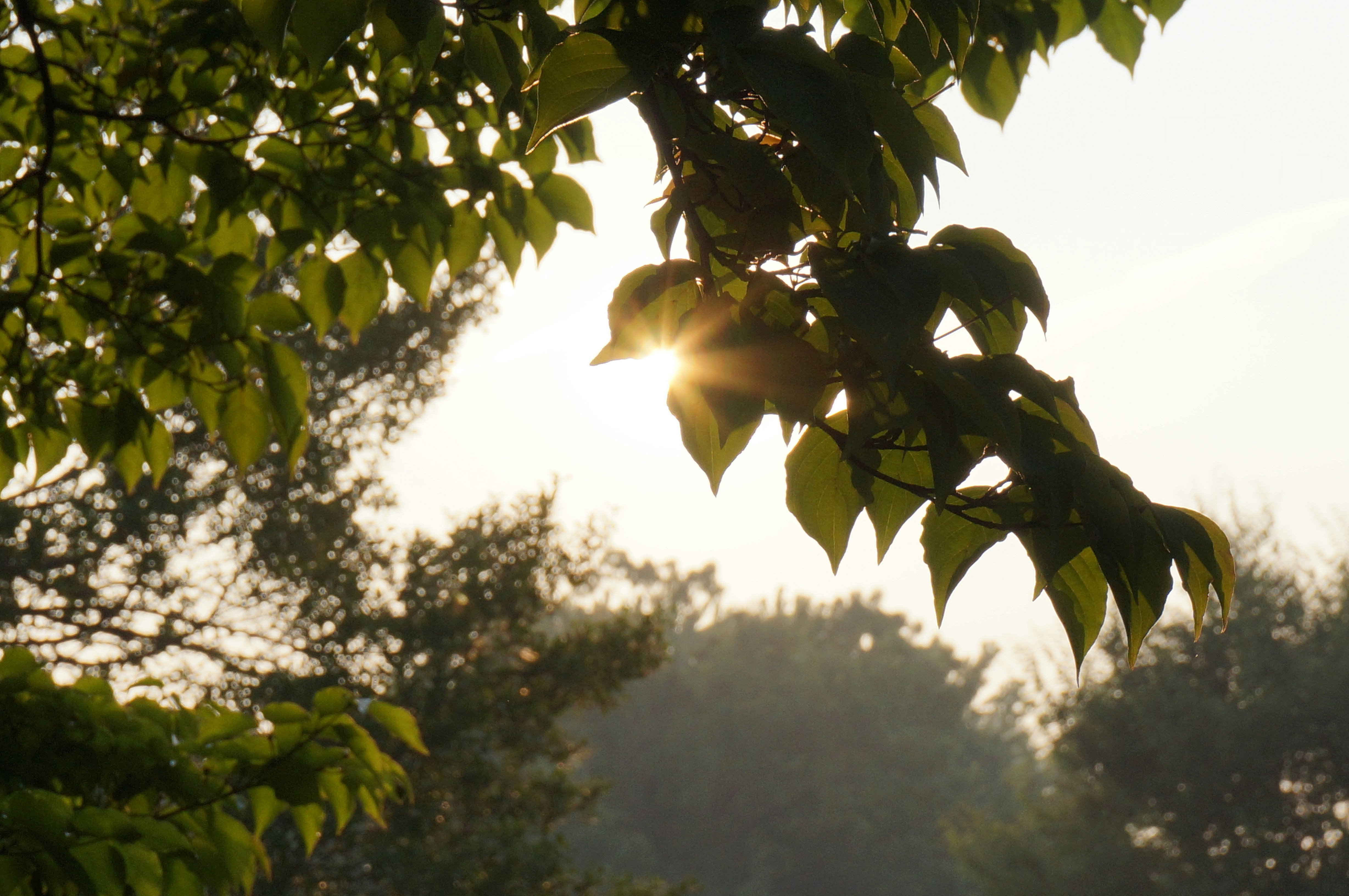 Photo by sugargirl333