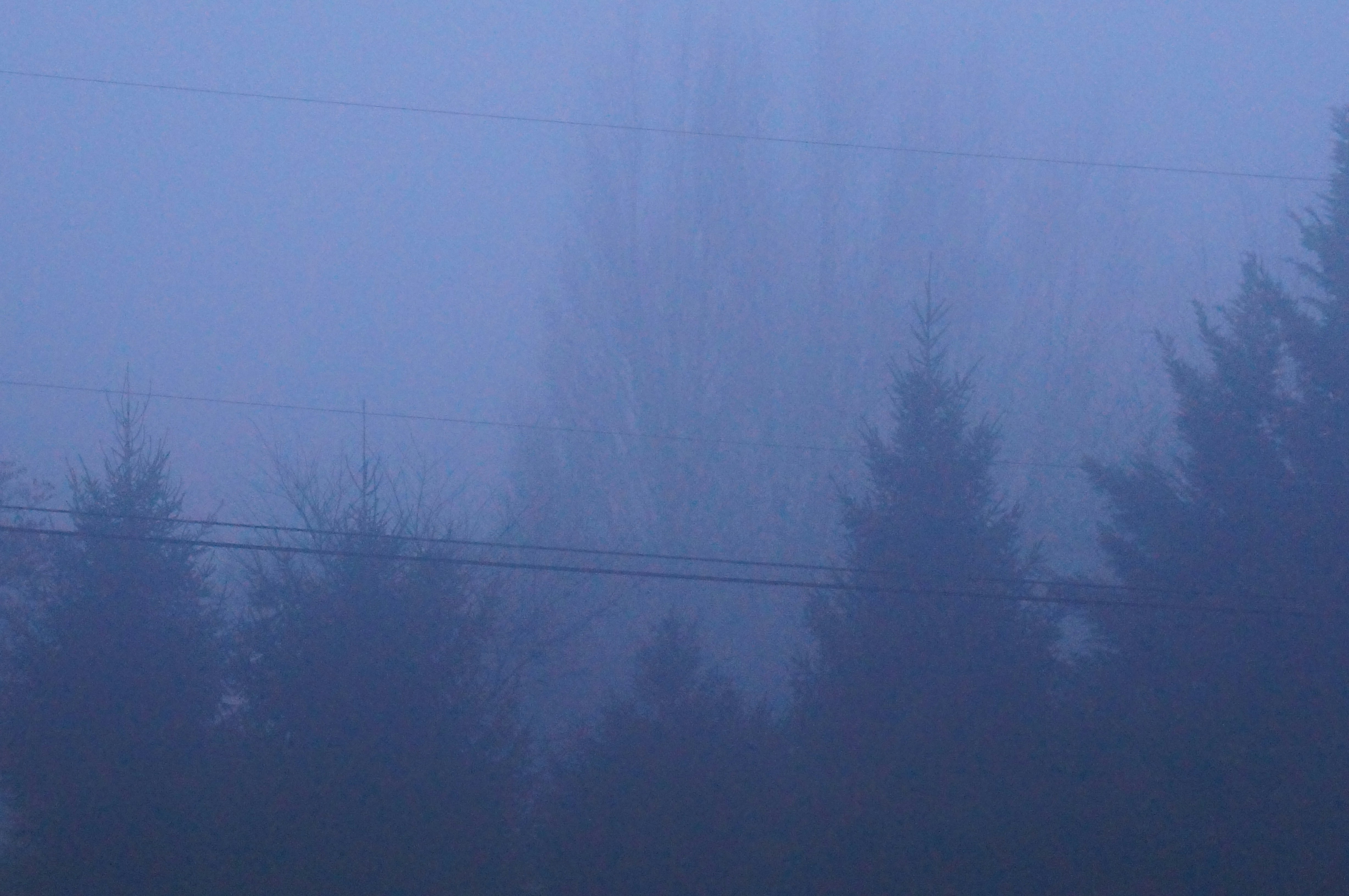 Photo by sugargirl333