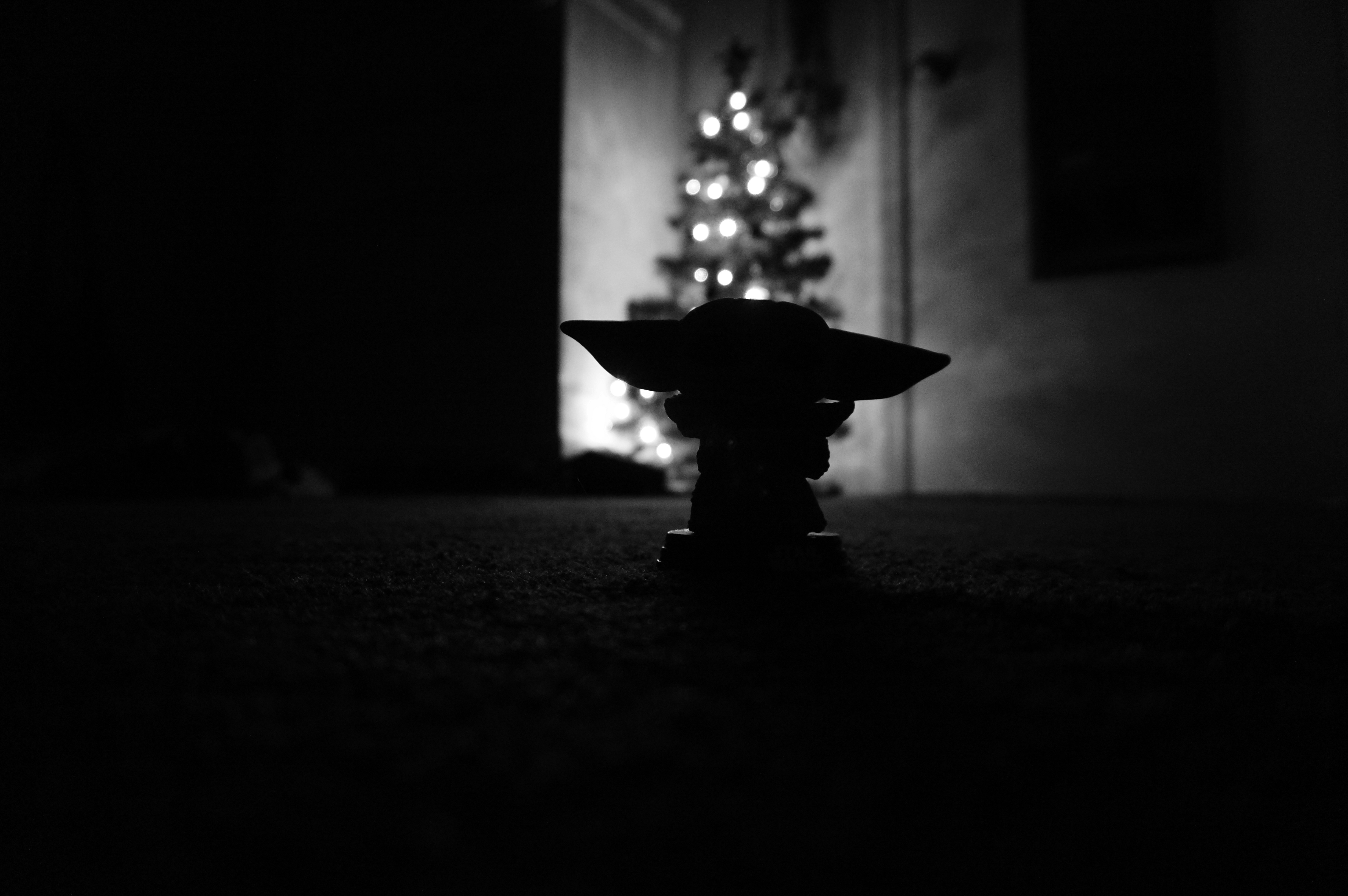 A small figure in silhouette before a christmas tree.