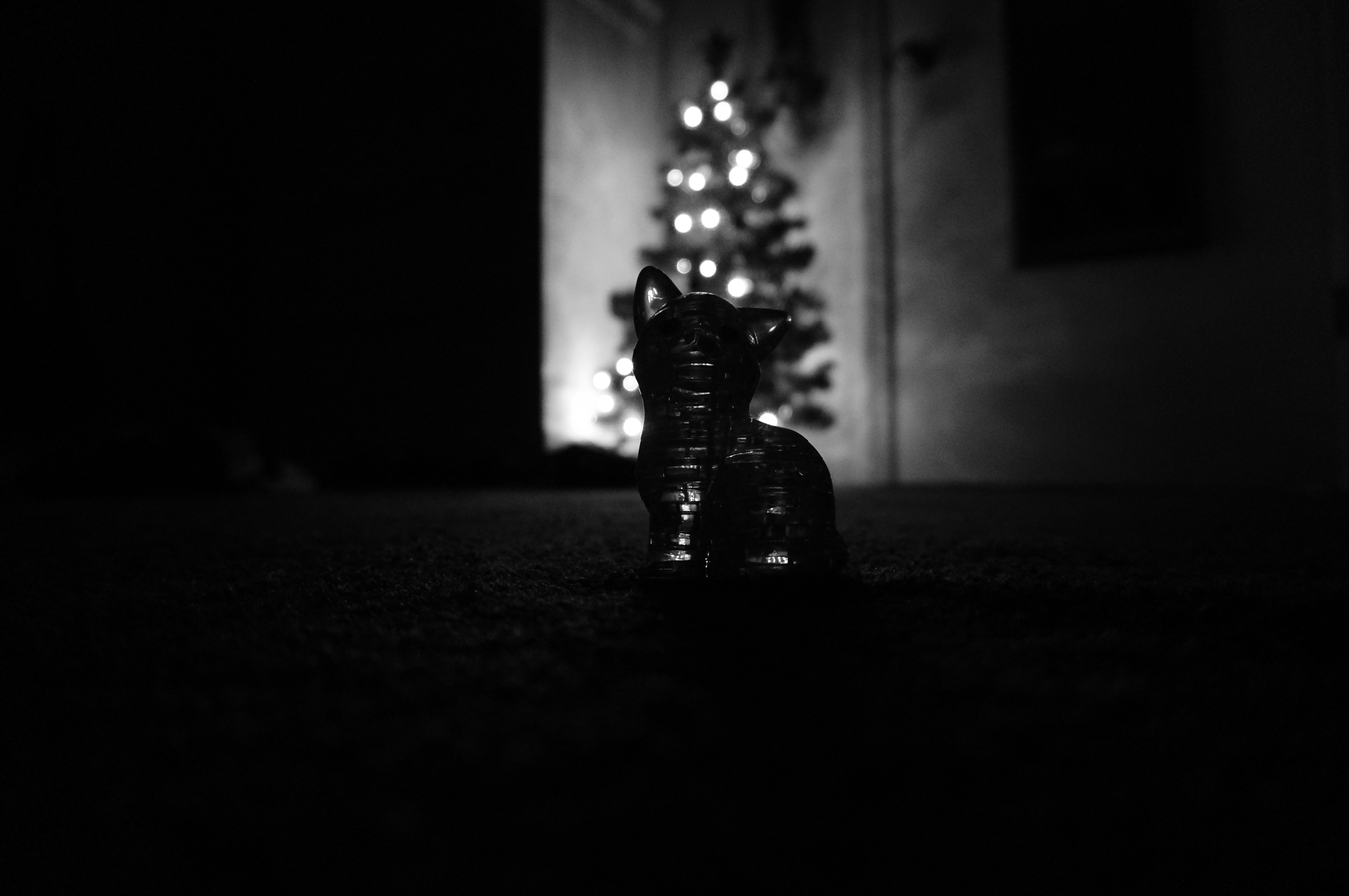A black cat figurine sits before a christmas tree.