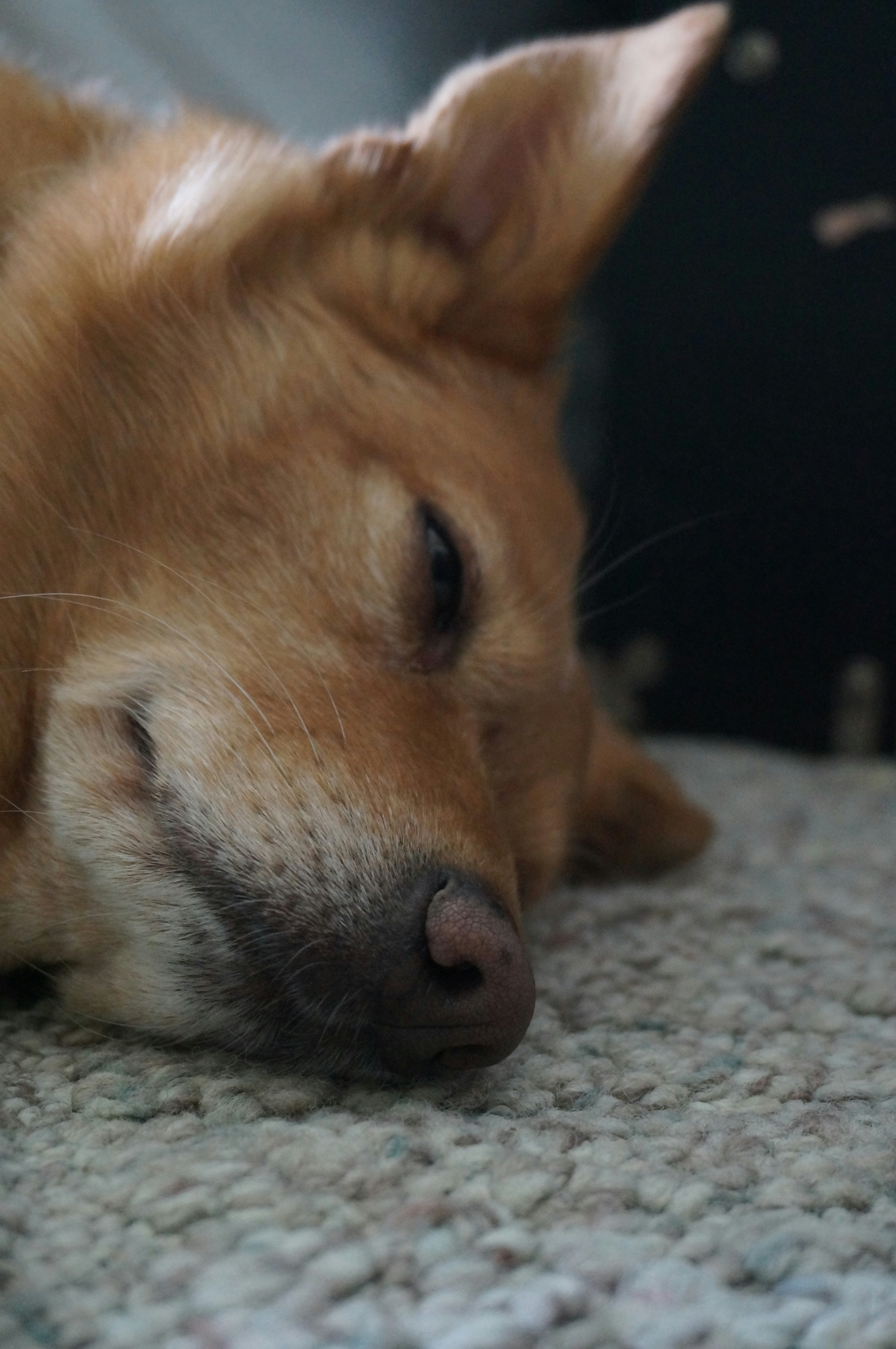 Photo by sugargirl333