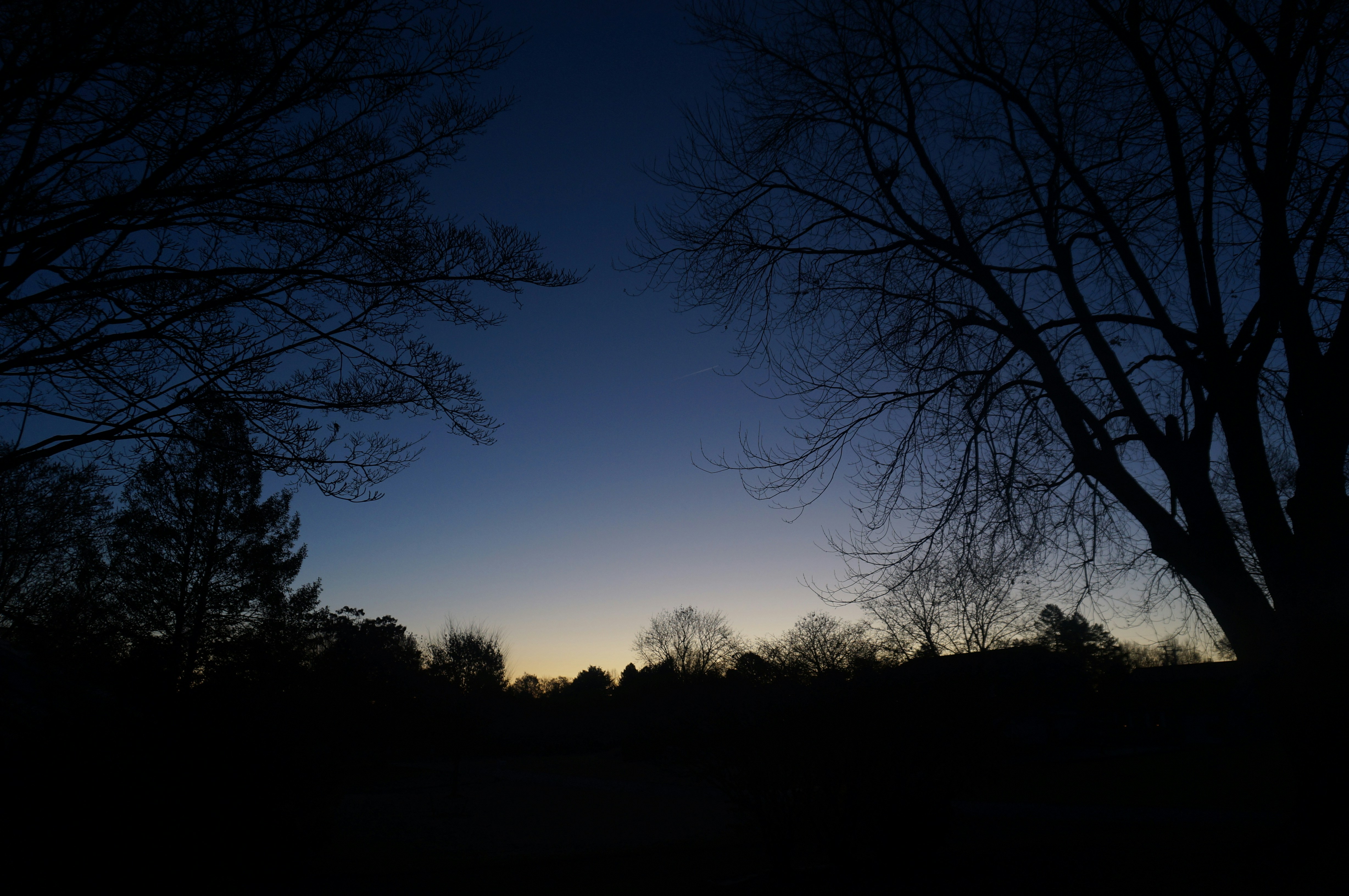 Photo by sugargirl333