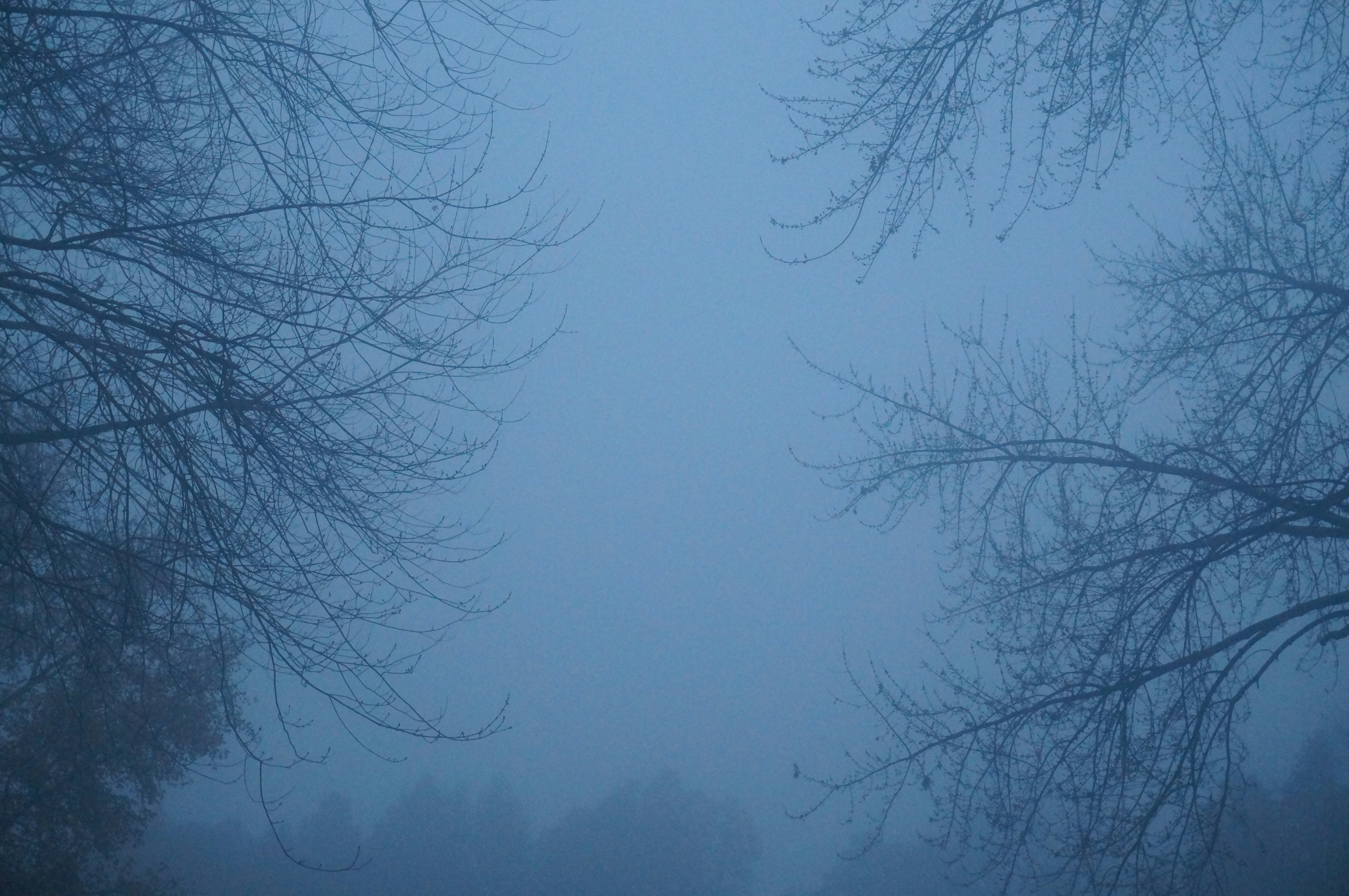 Photo by sugargirl333