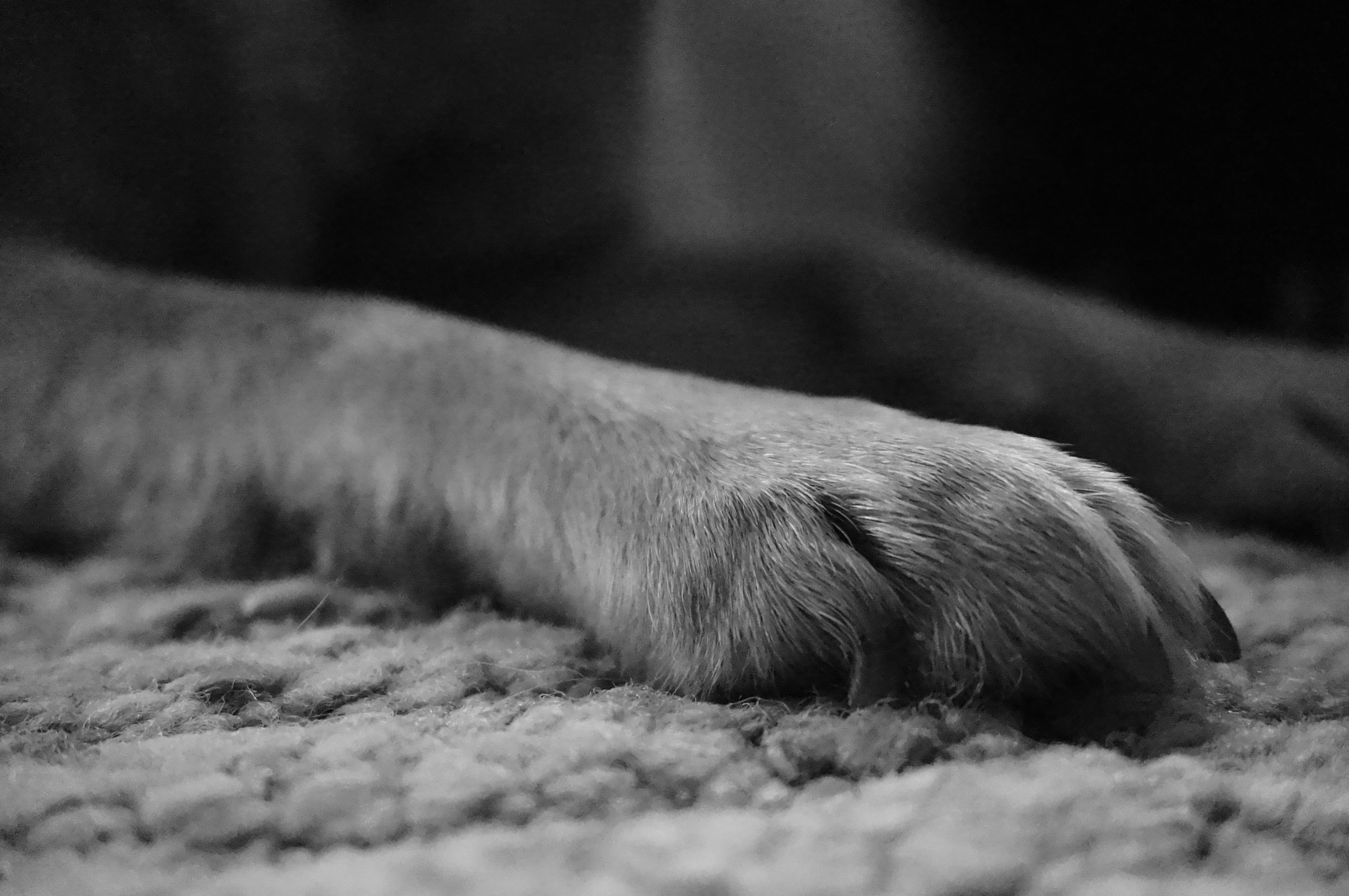 Photo by sugargirl333