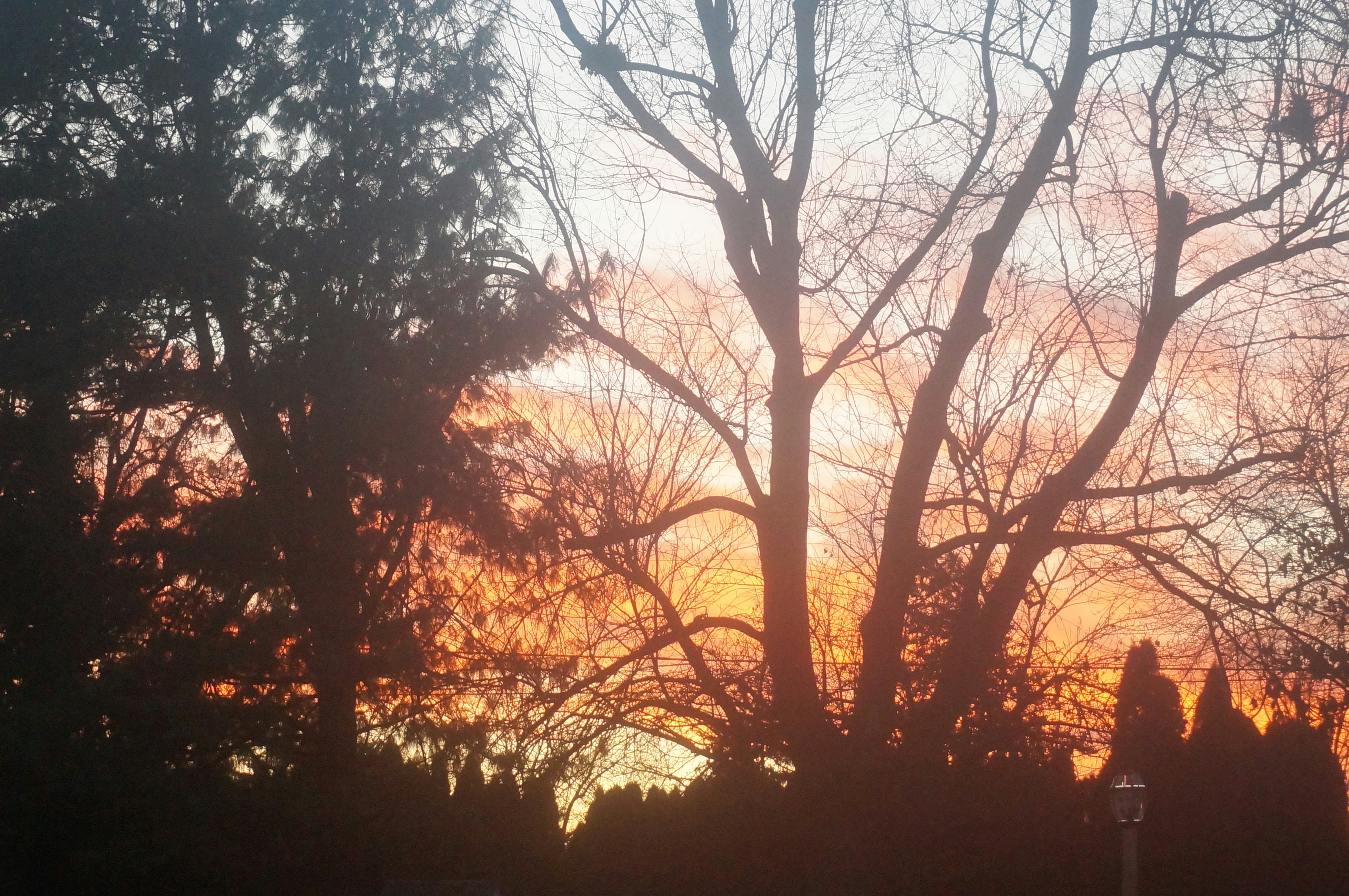 Photo by sugargirl333