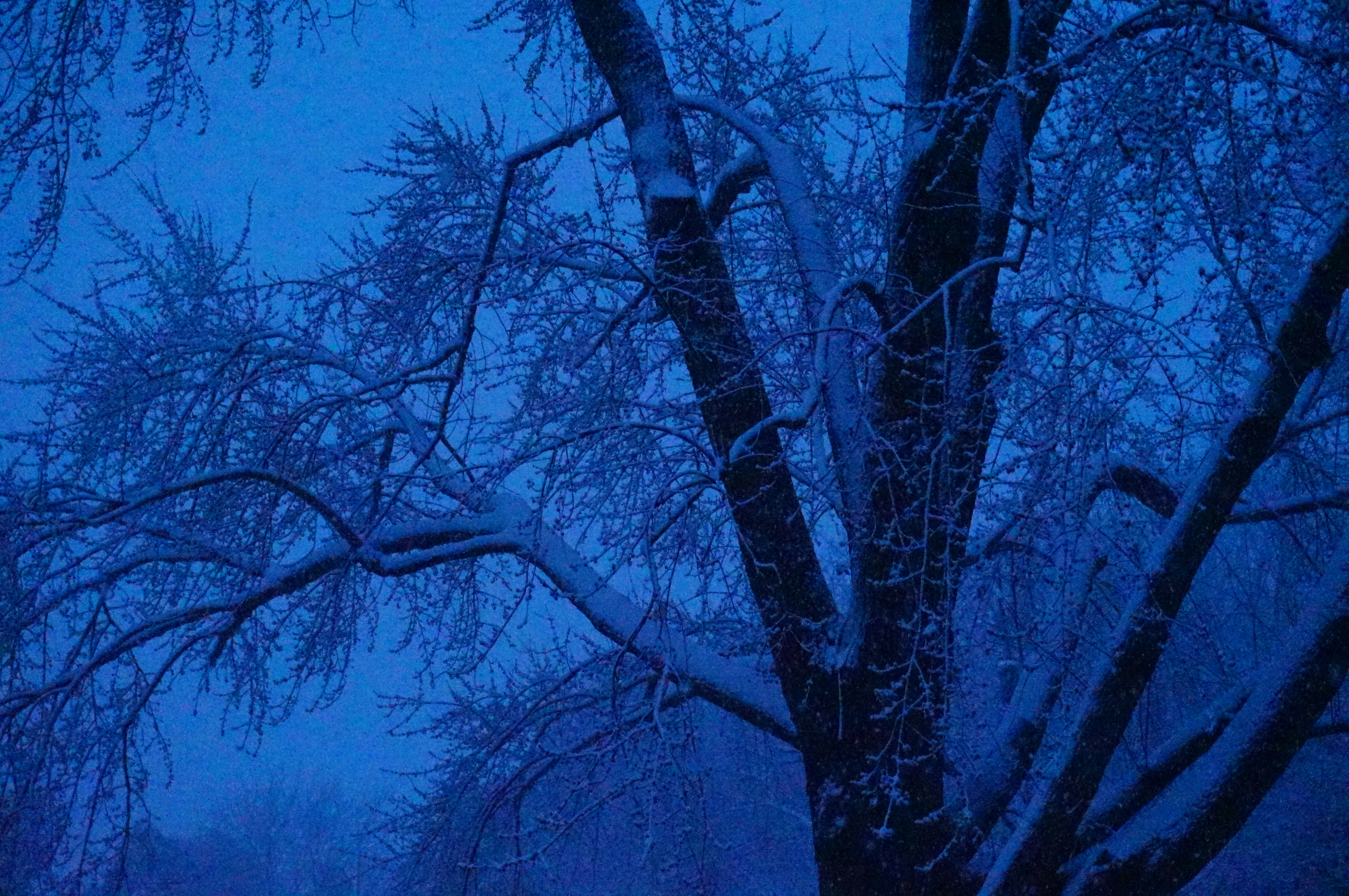 Photo by sugargirl333