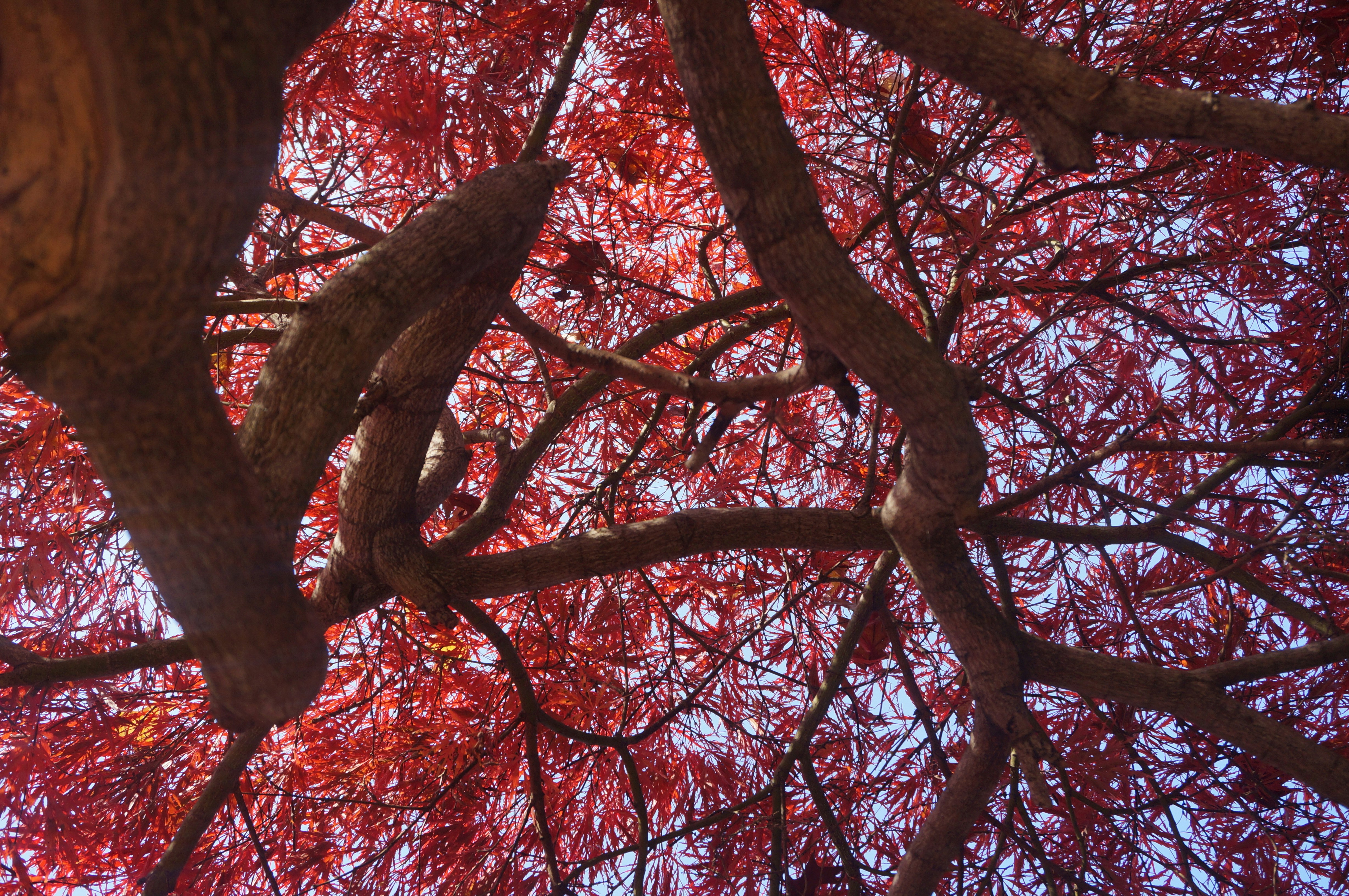 Photo by sugargirl333