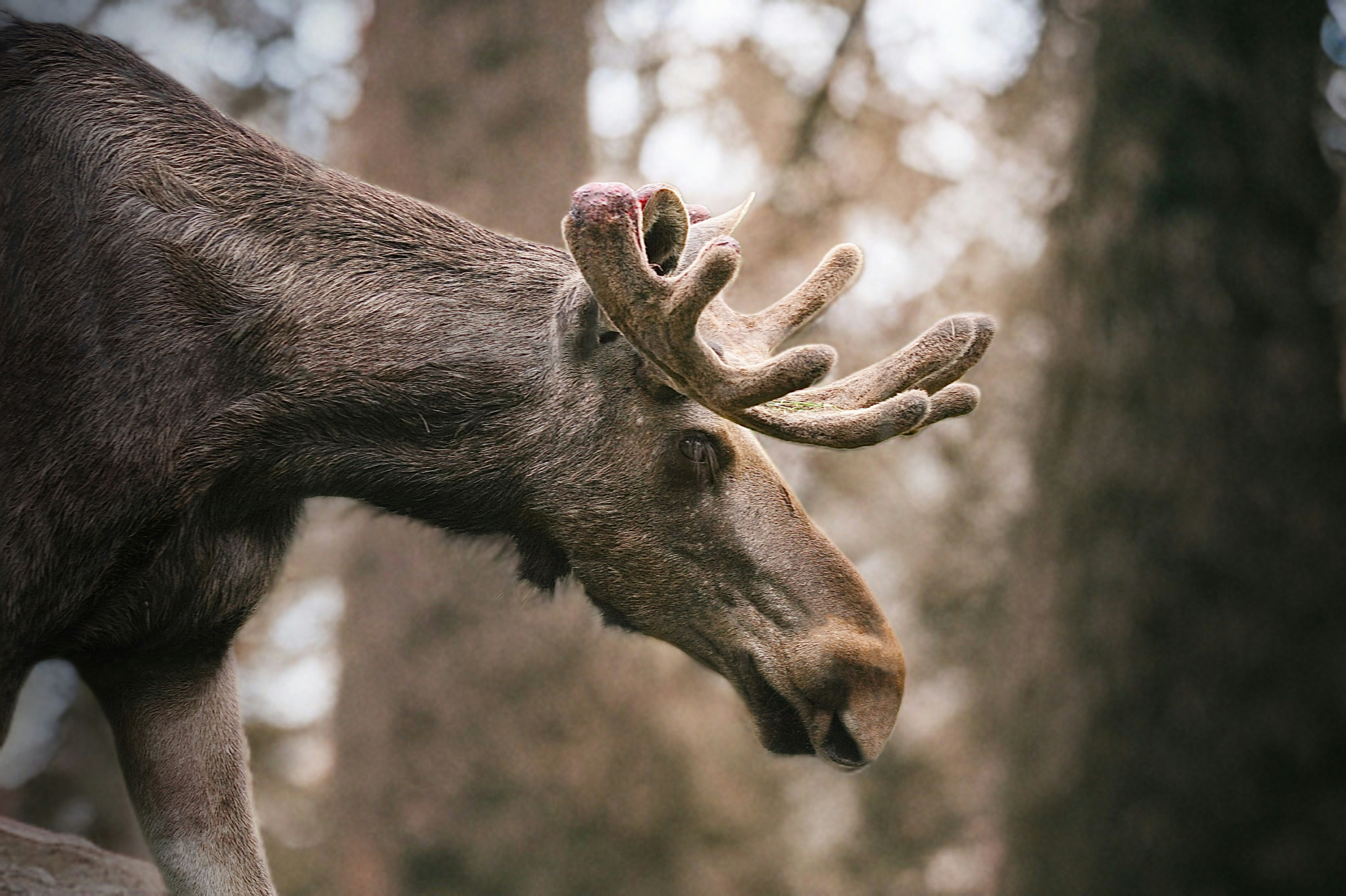 Photo by kristinokarlsen