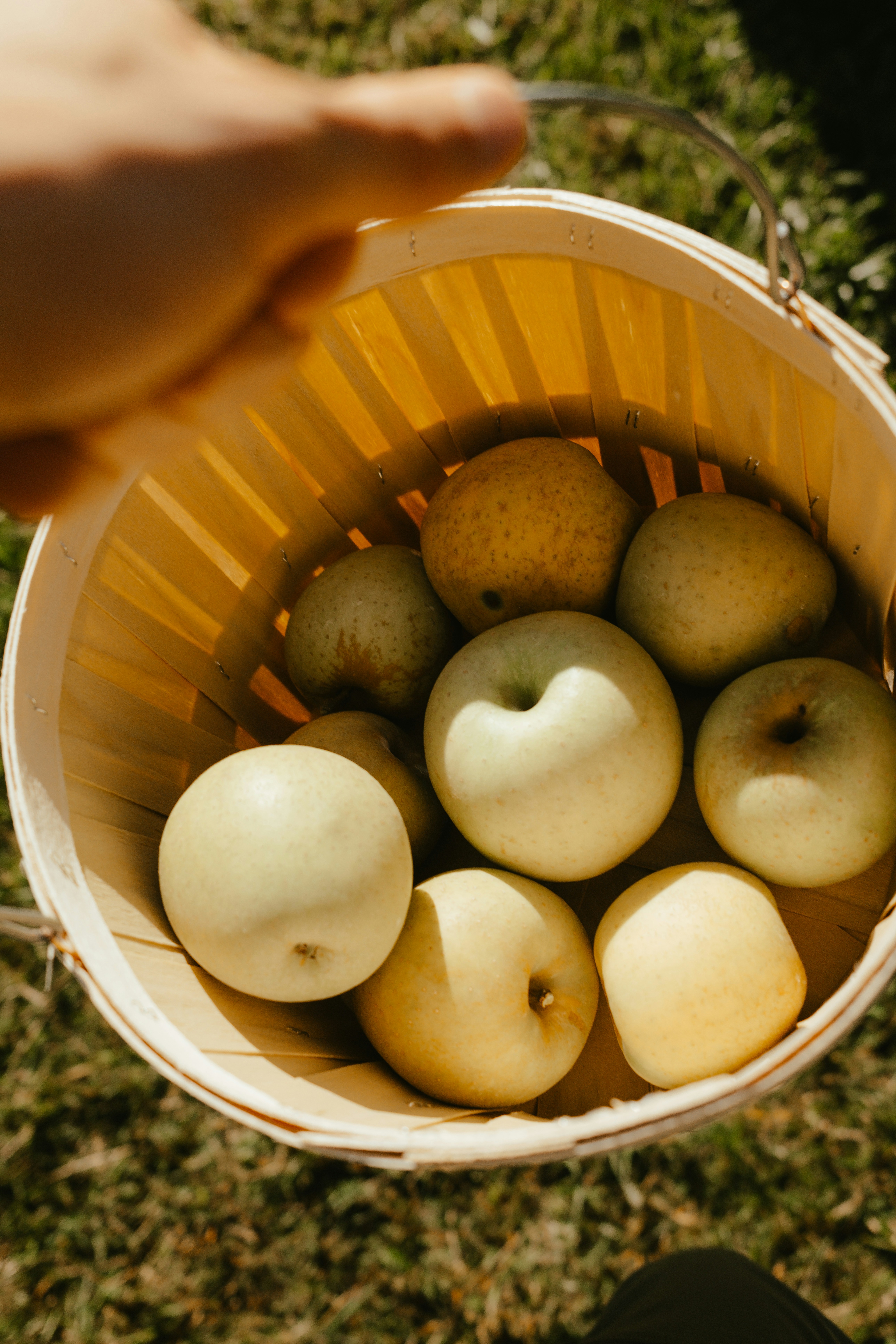 Photo by travisfishl