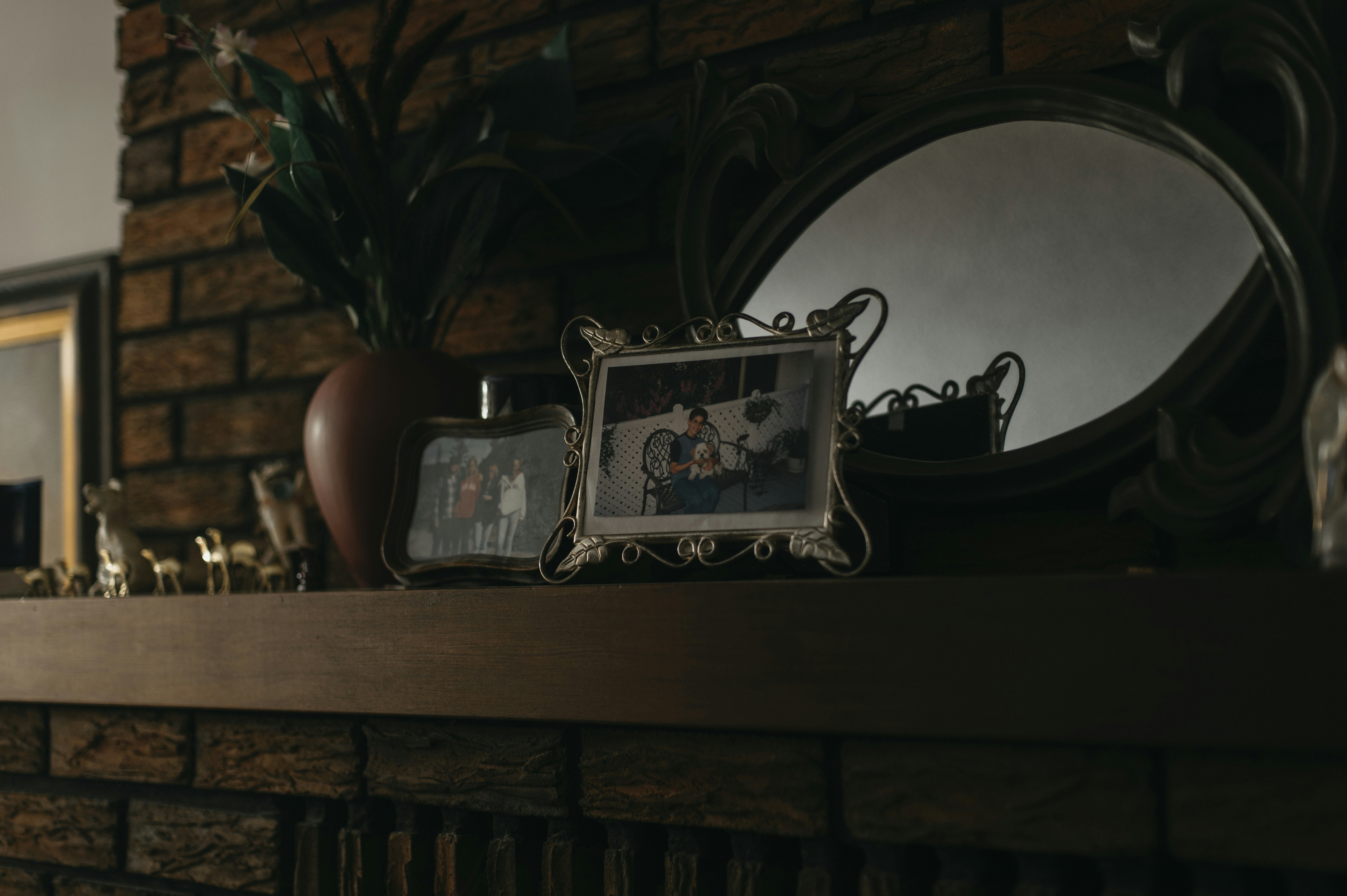 Photo by reddfrancisco