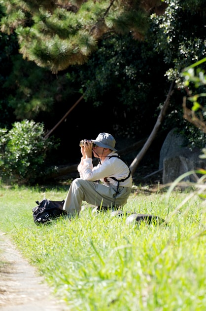 Hawk identification guide beginners — practical guide overview