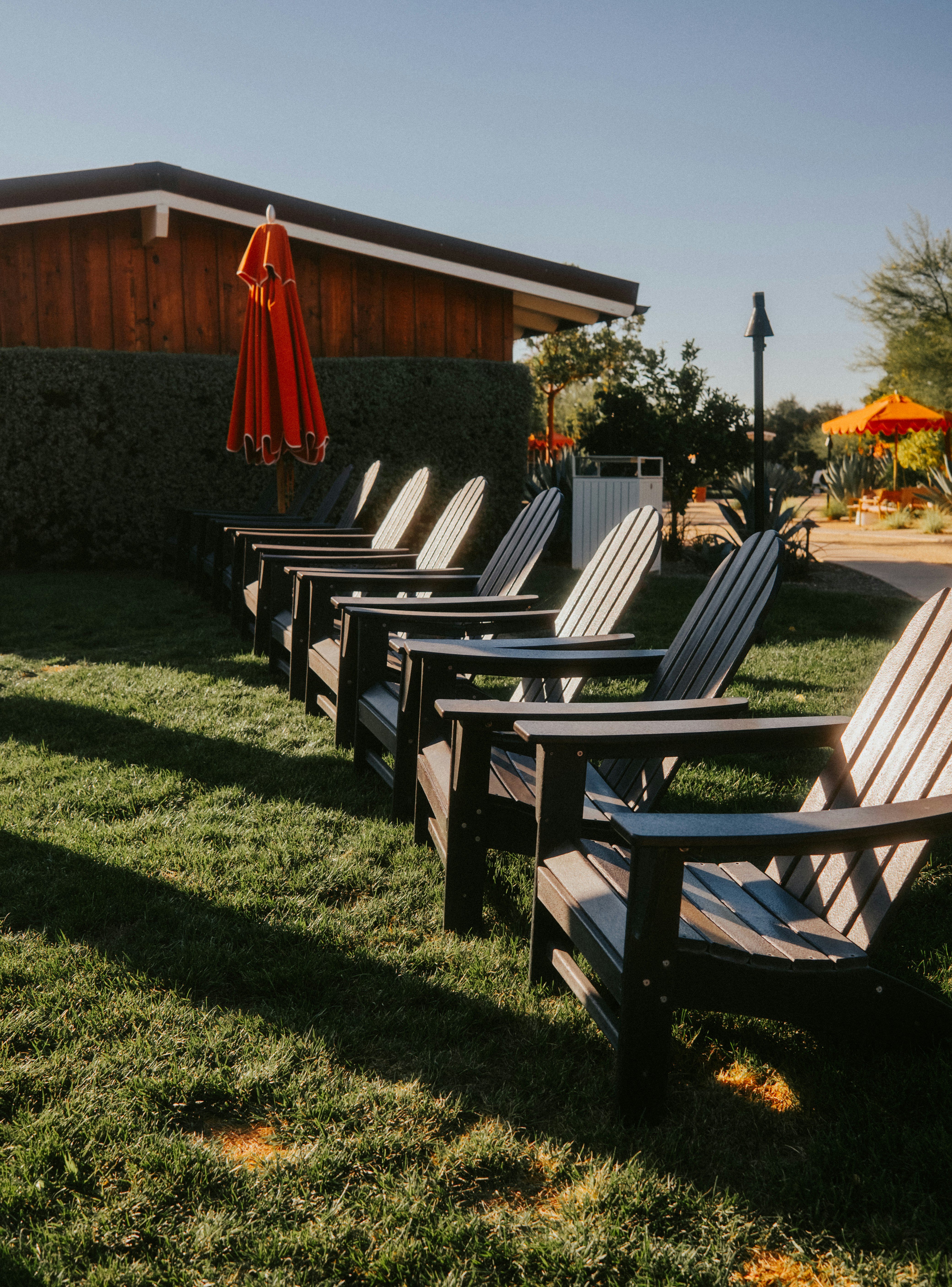 Adirondack chairs lined up on a grassy lawn