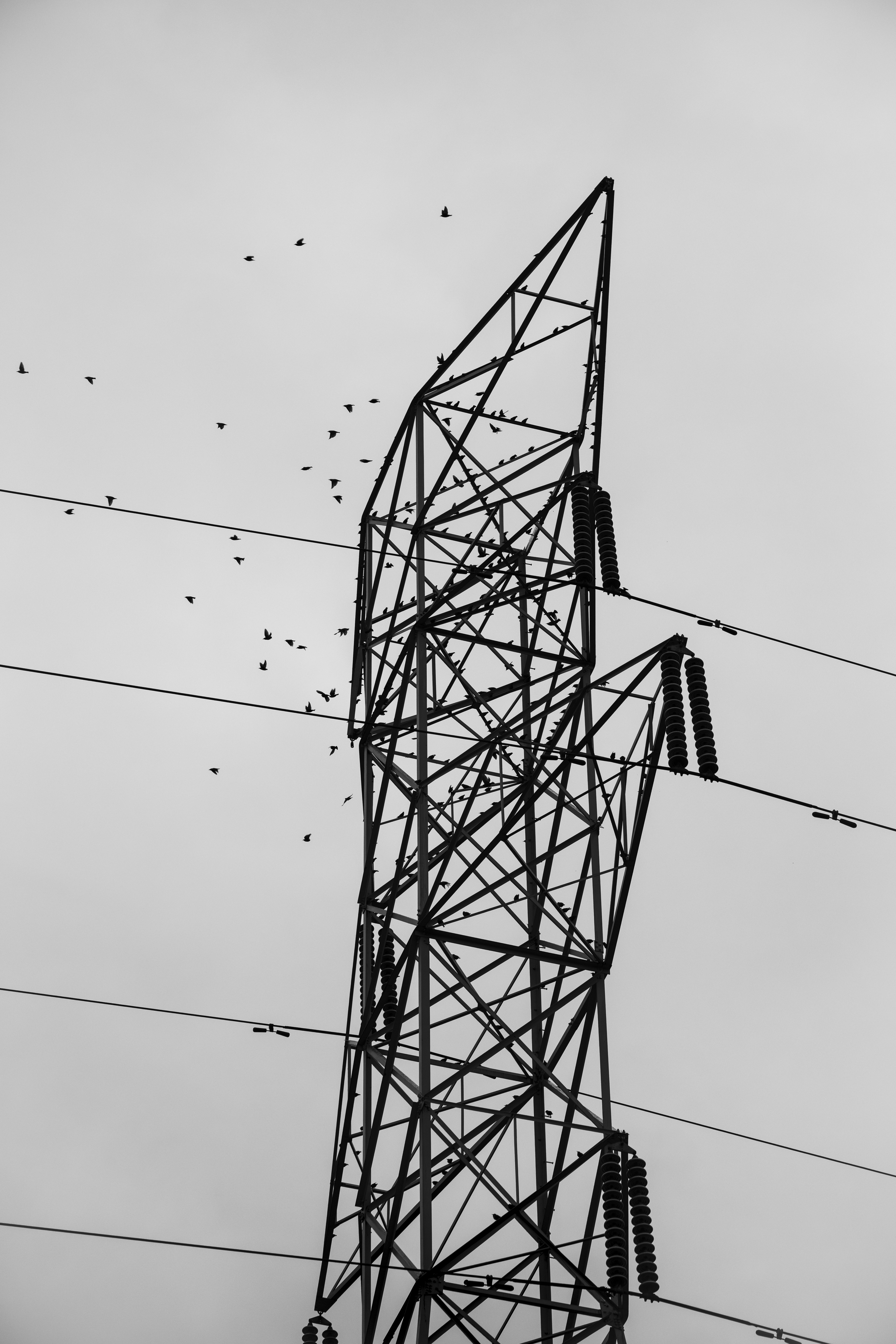 Photo by albertstoynov